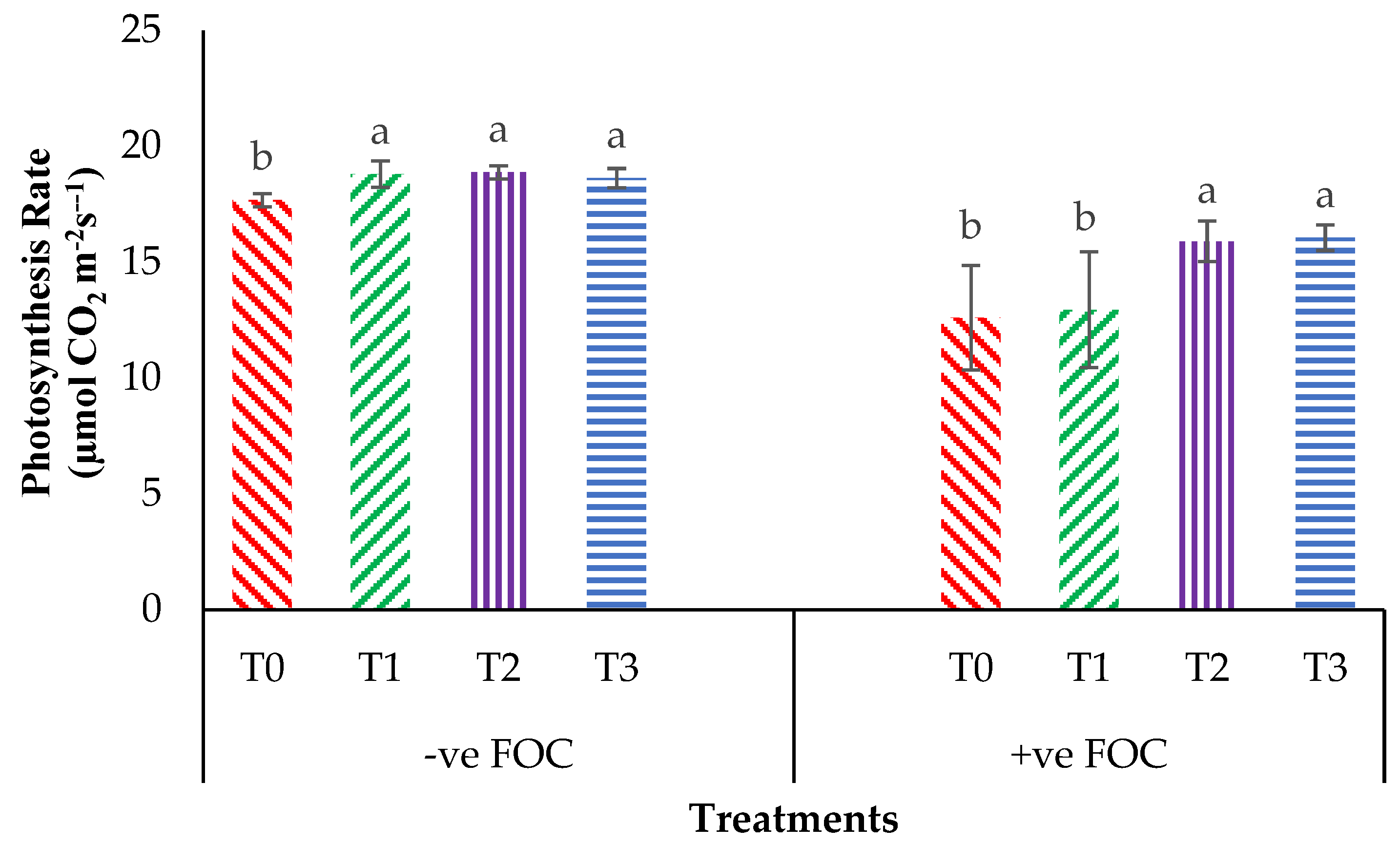 Plants 13 00542 g004