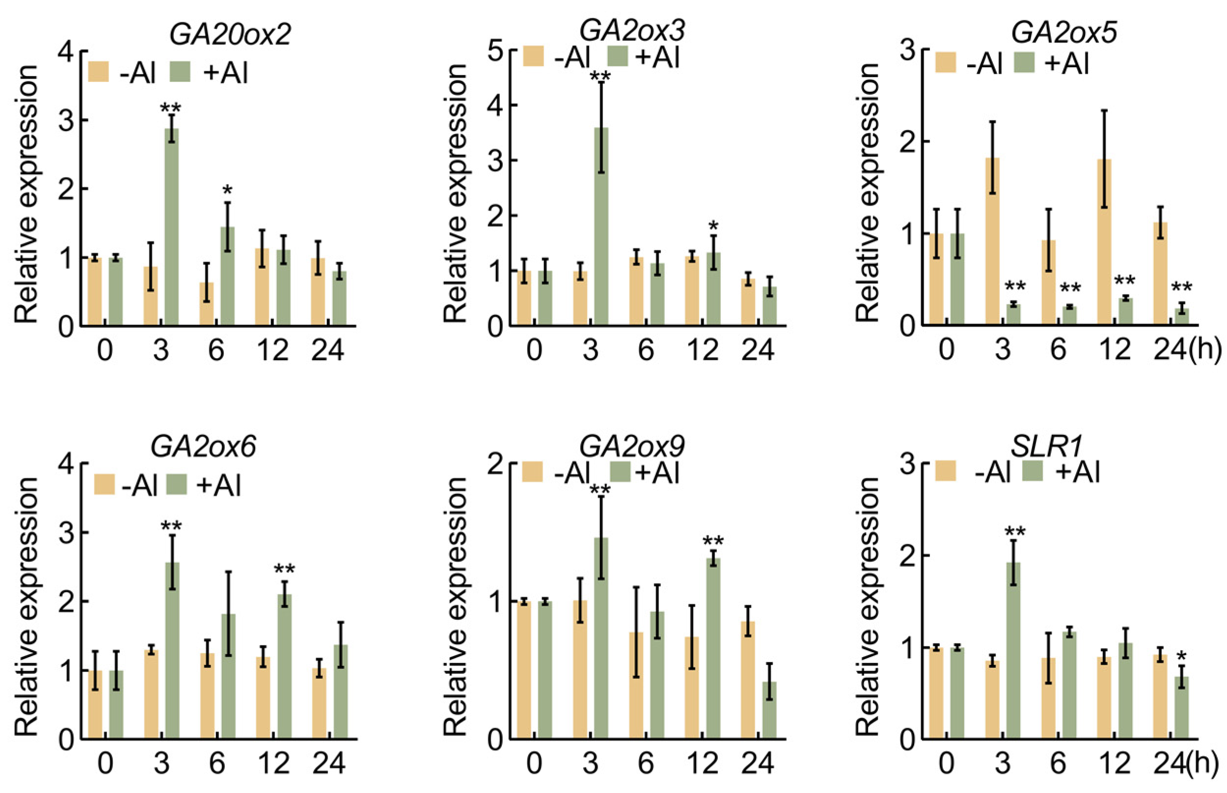 Plants 13 00543 g001