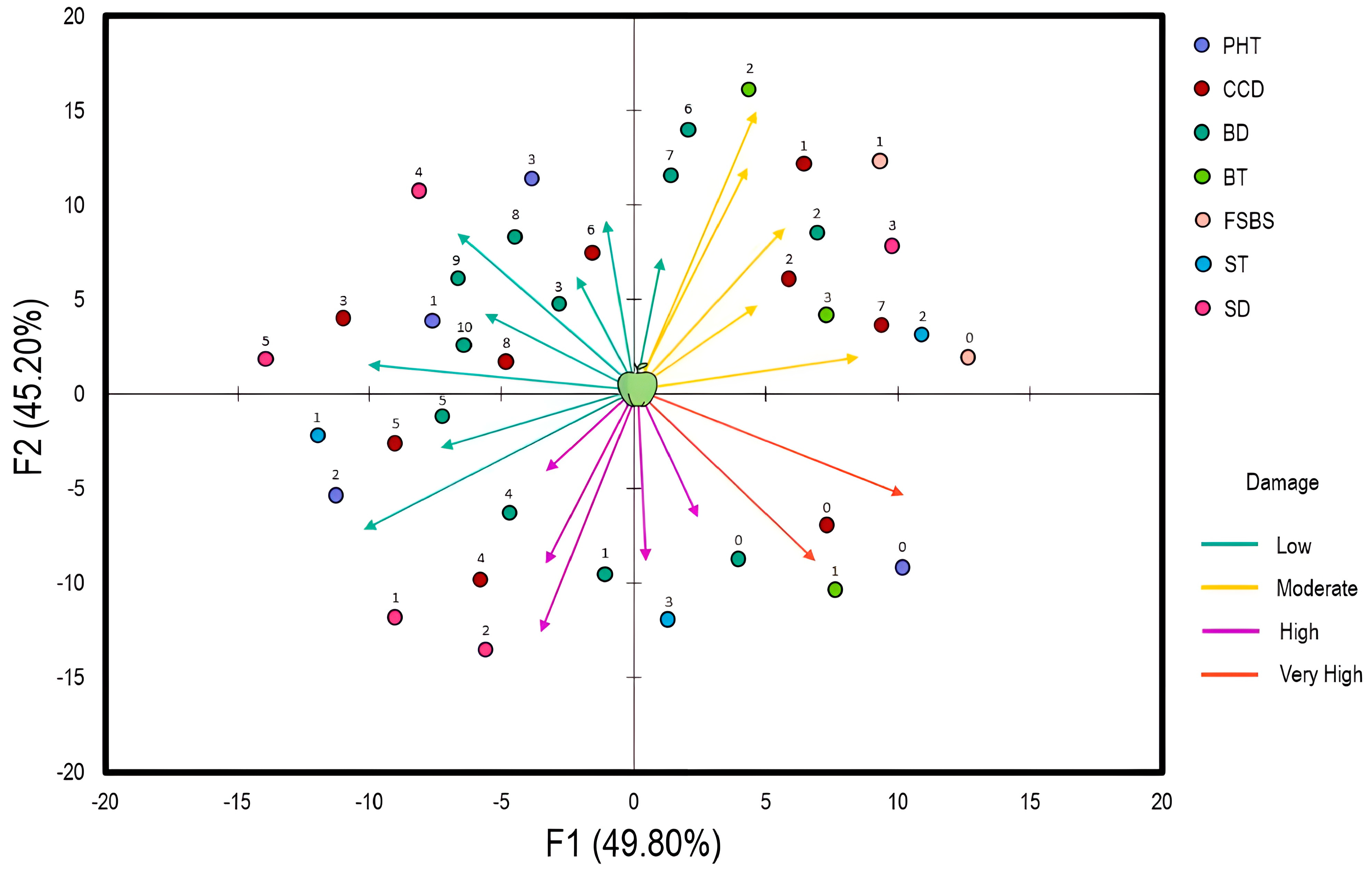 Plants 13 00553 g001