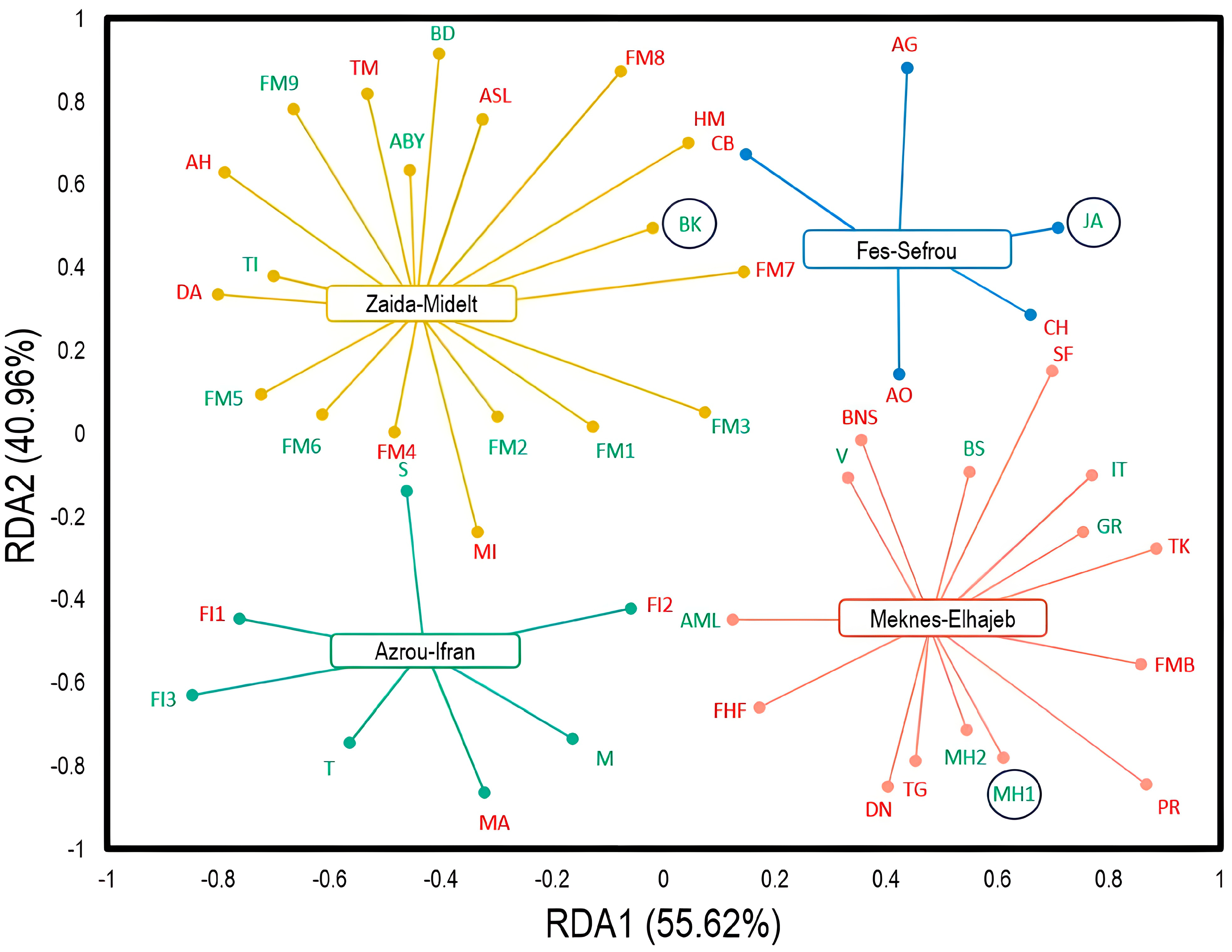Plants 13 00553 g002