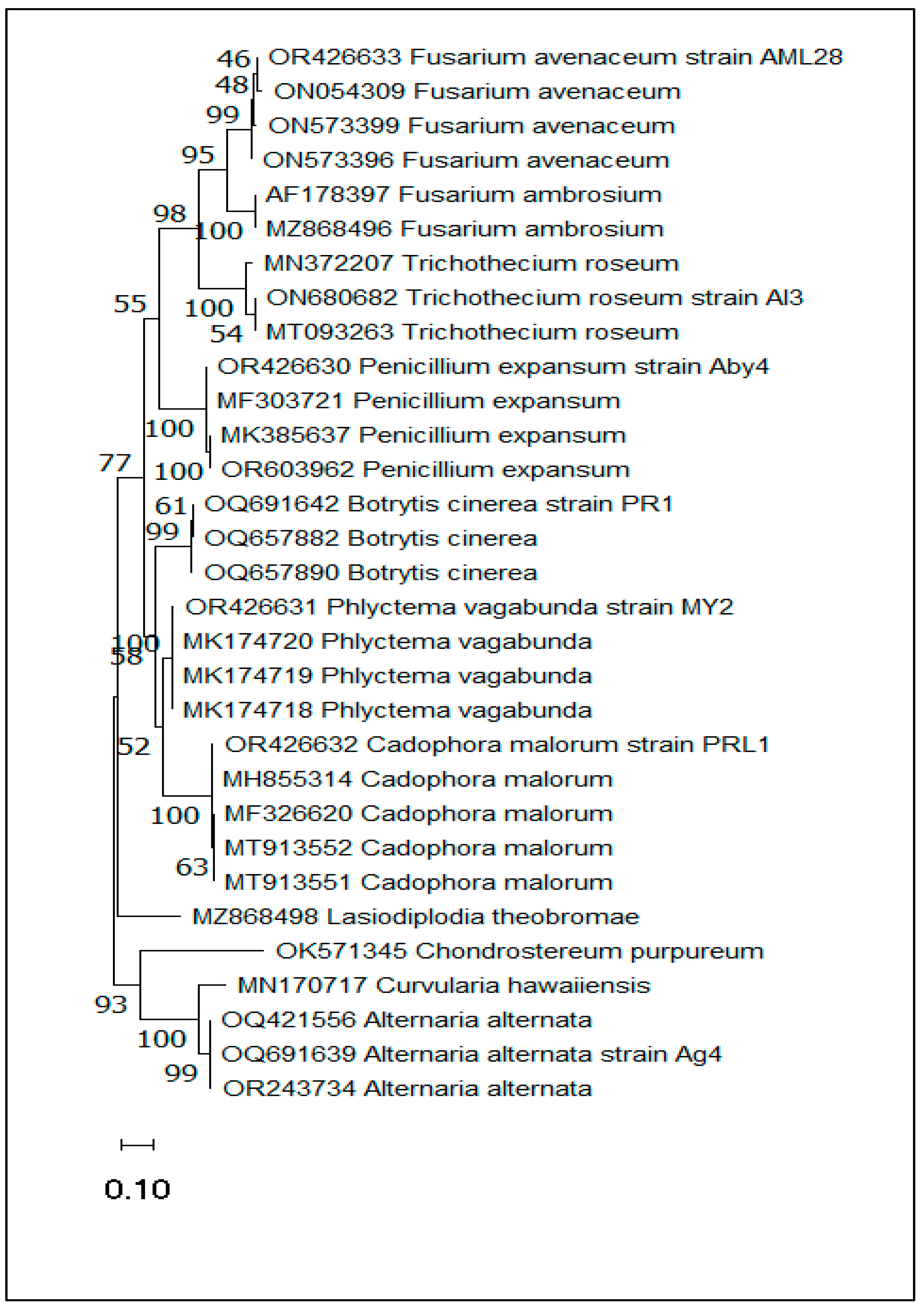 Plants 13 00553 g004