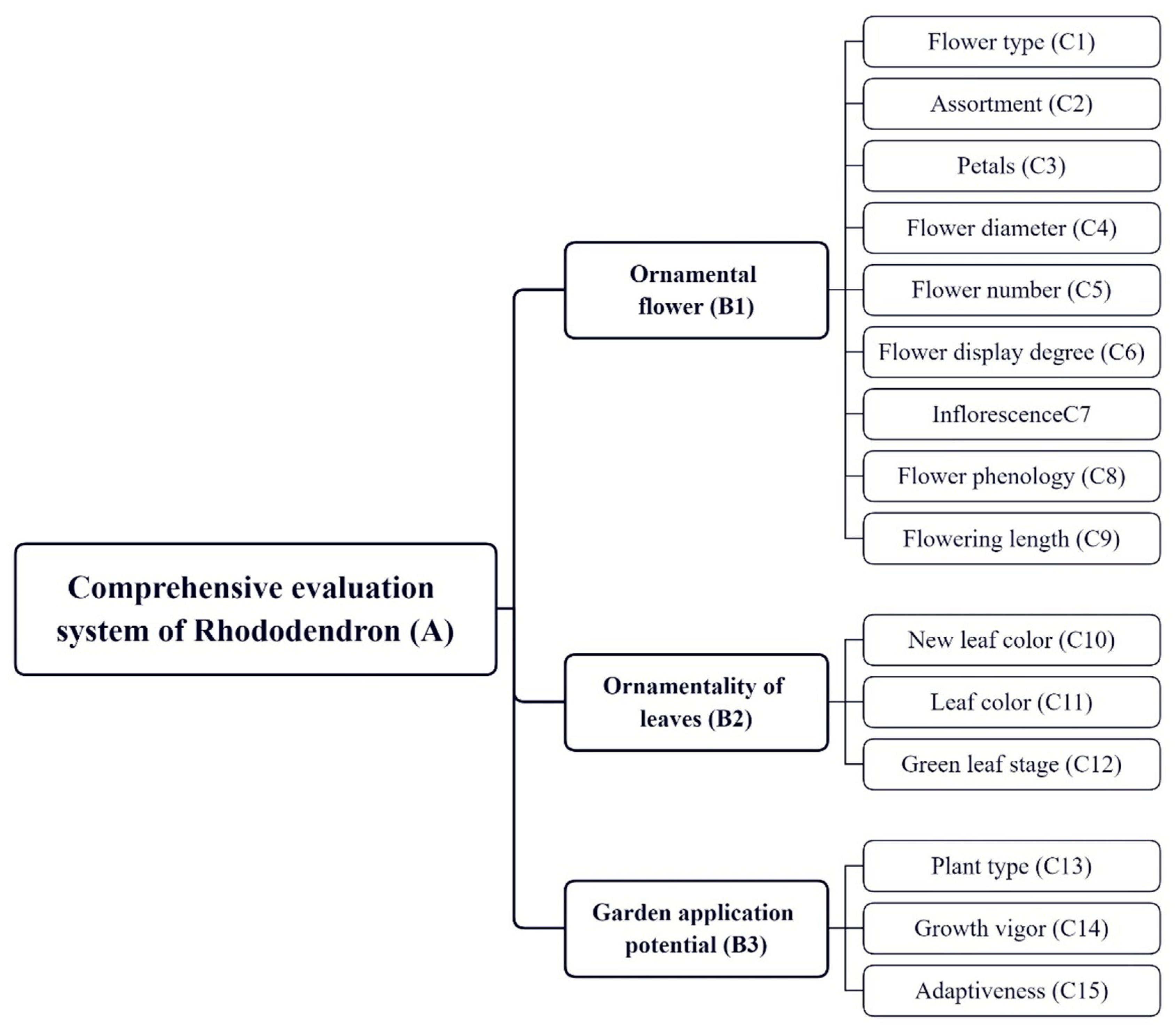 Plants 13 00558 g004