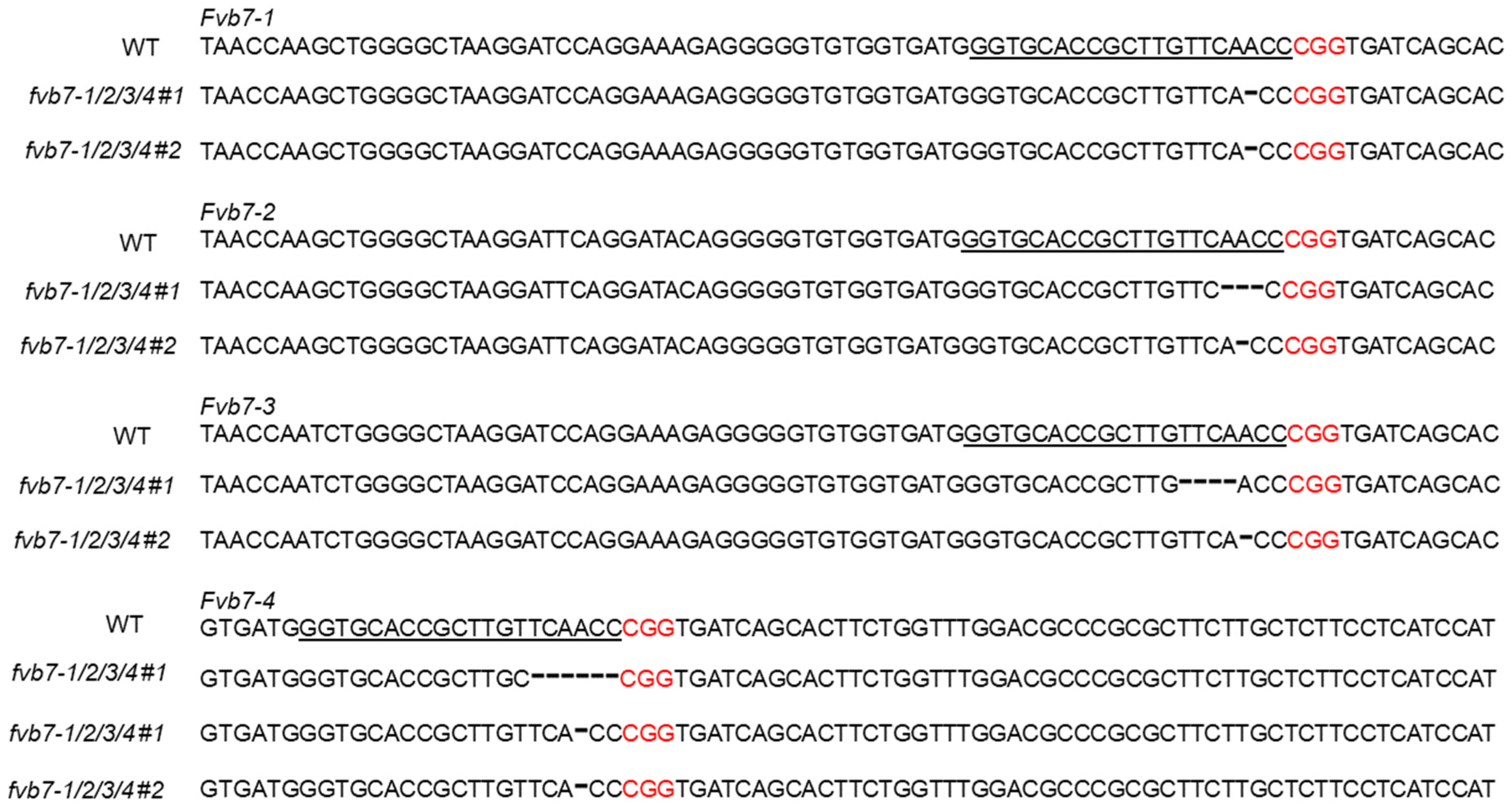 Plants 13 00563 g003