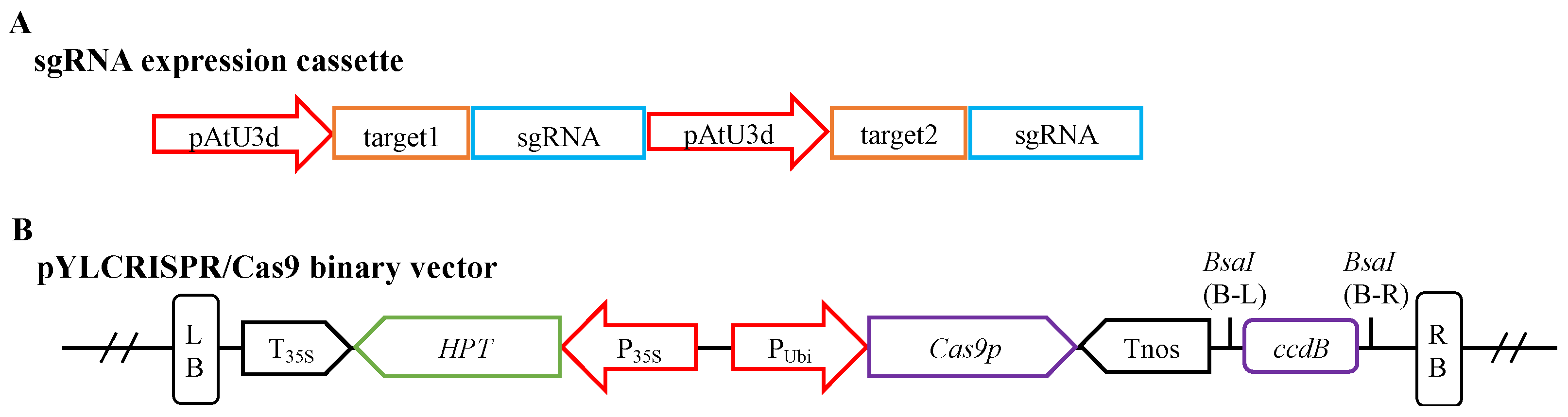 Plants 13 00563 g004