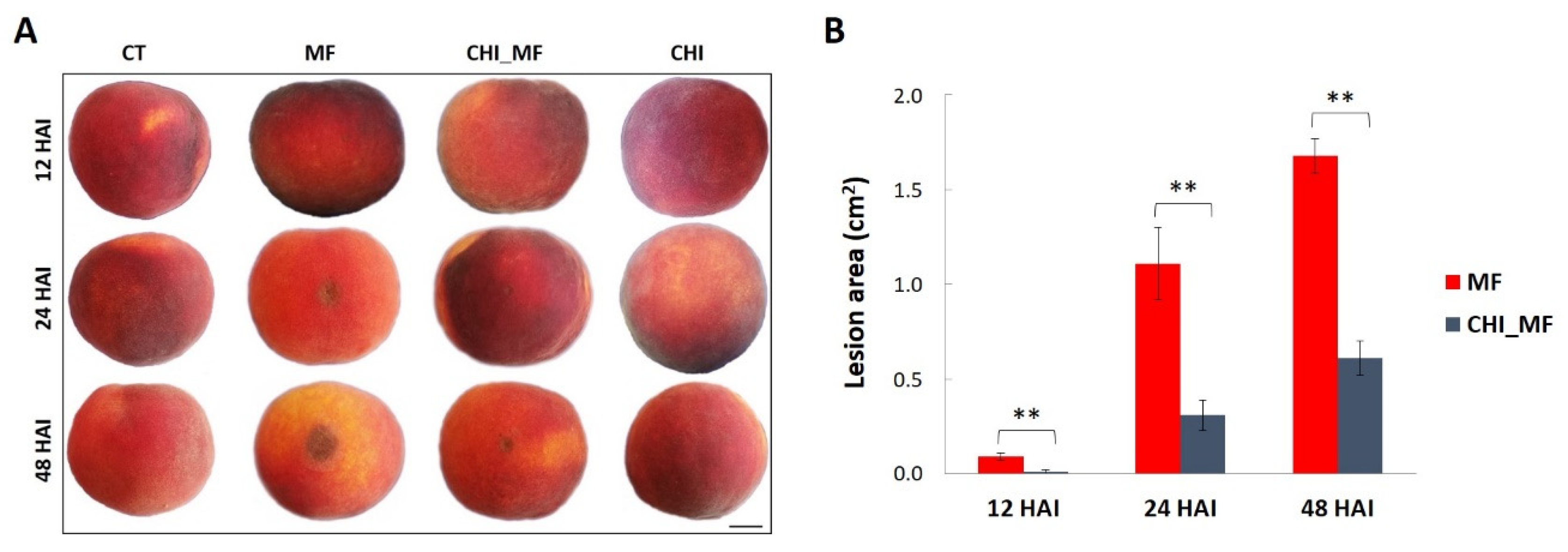 Plants 13 00567 g001