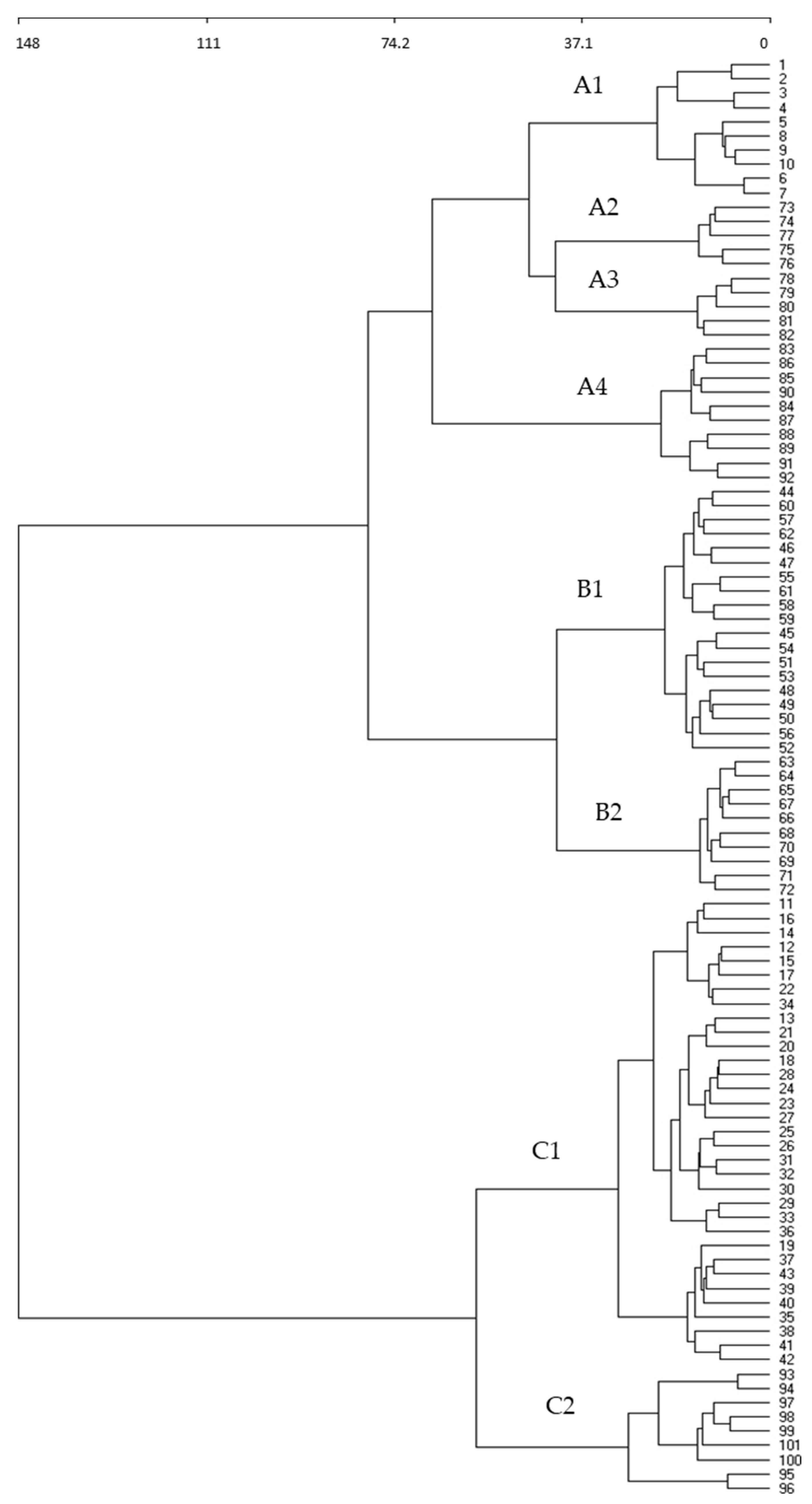Plants 13 00568 g002