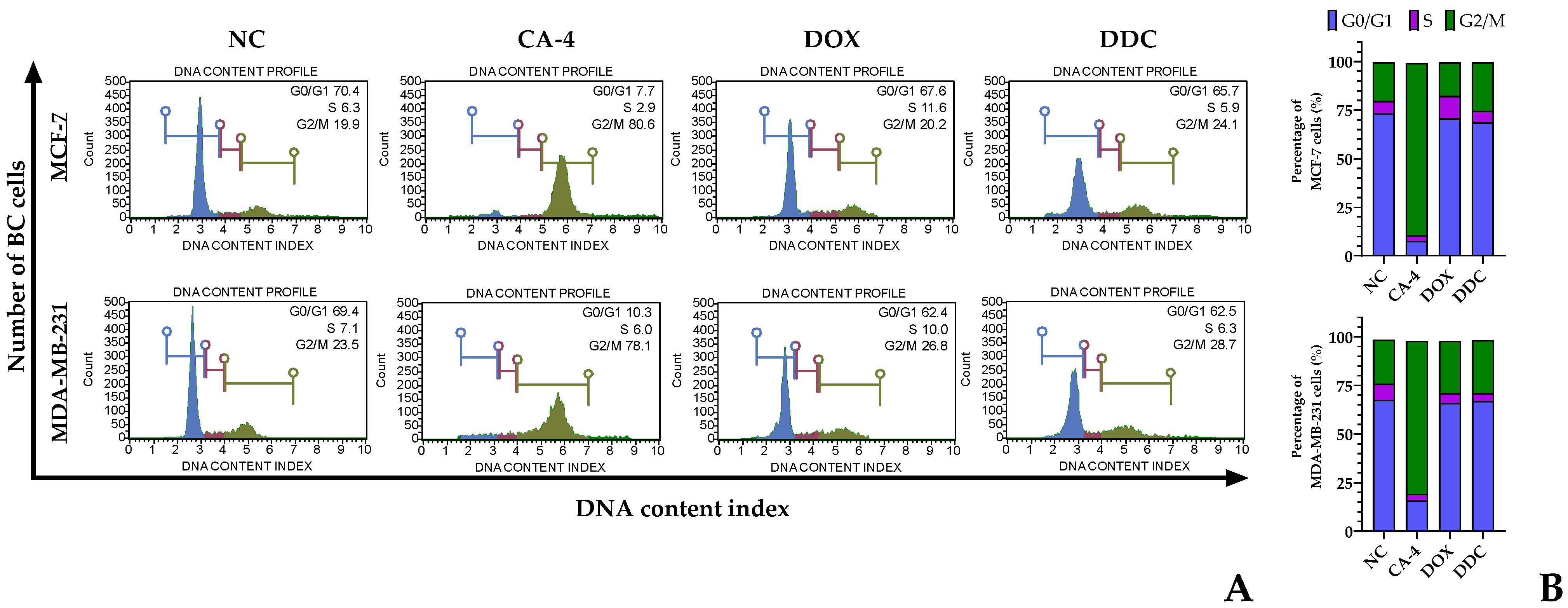 Plants 13 00570 g003