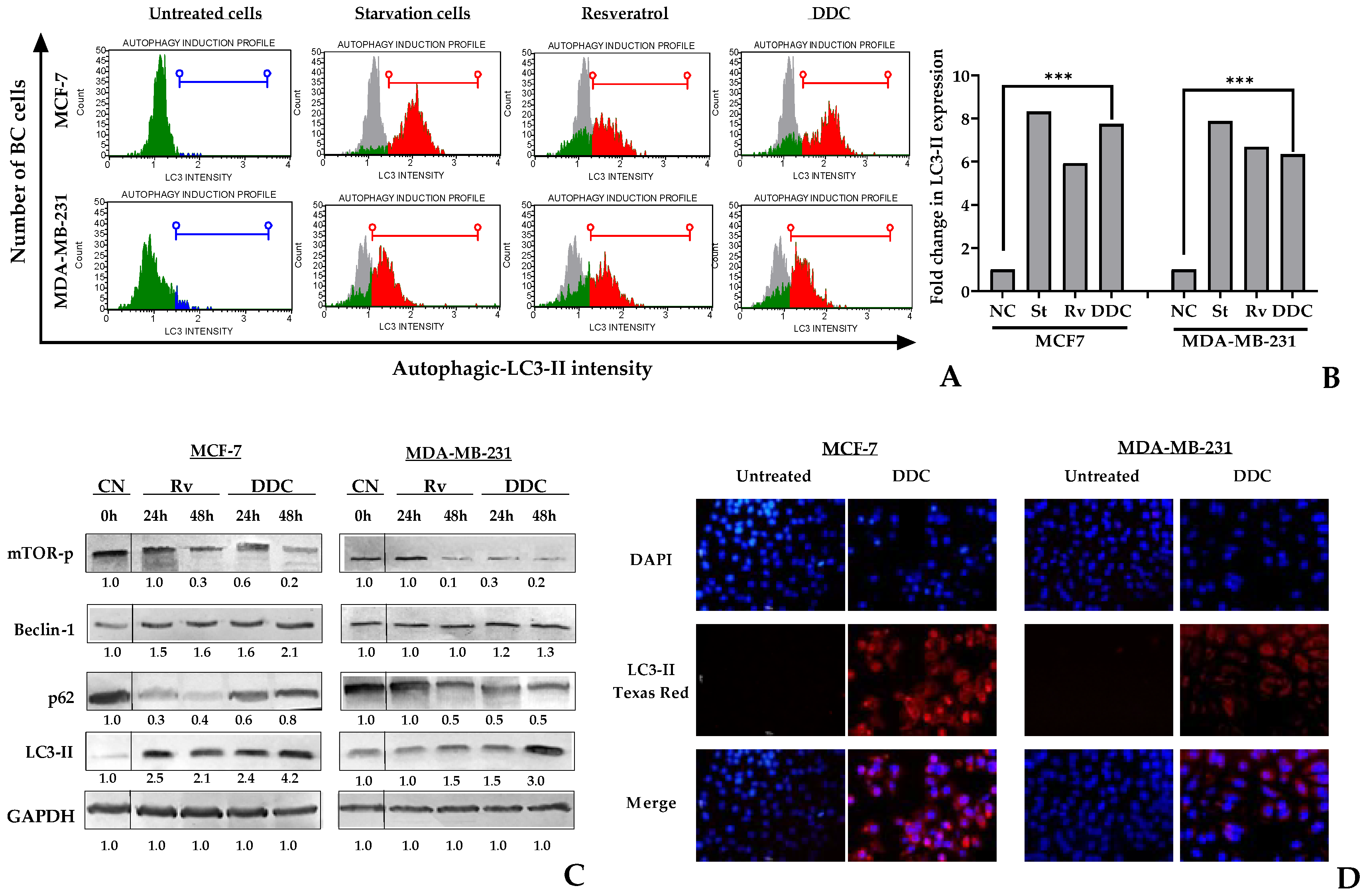 Plants 13 00570 g004