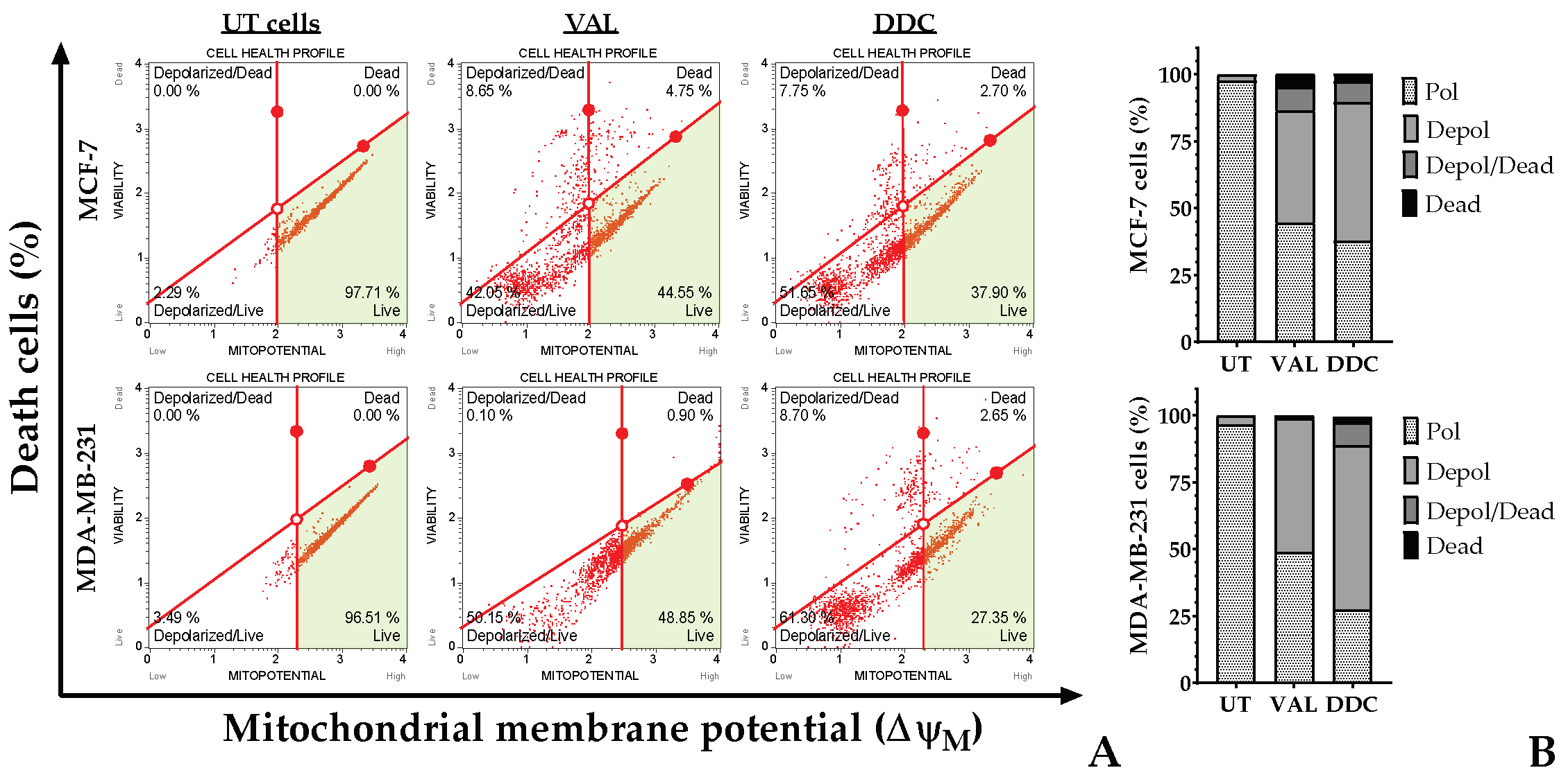 Plants 13 00570 g006