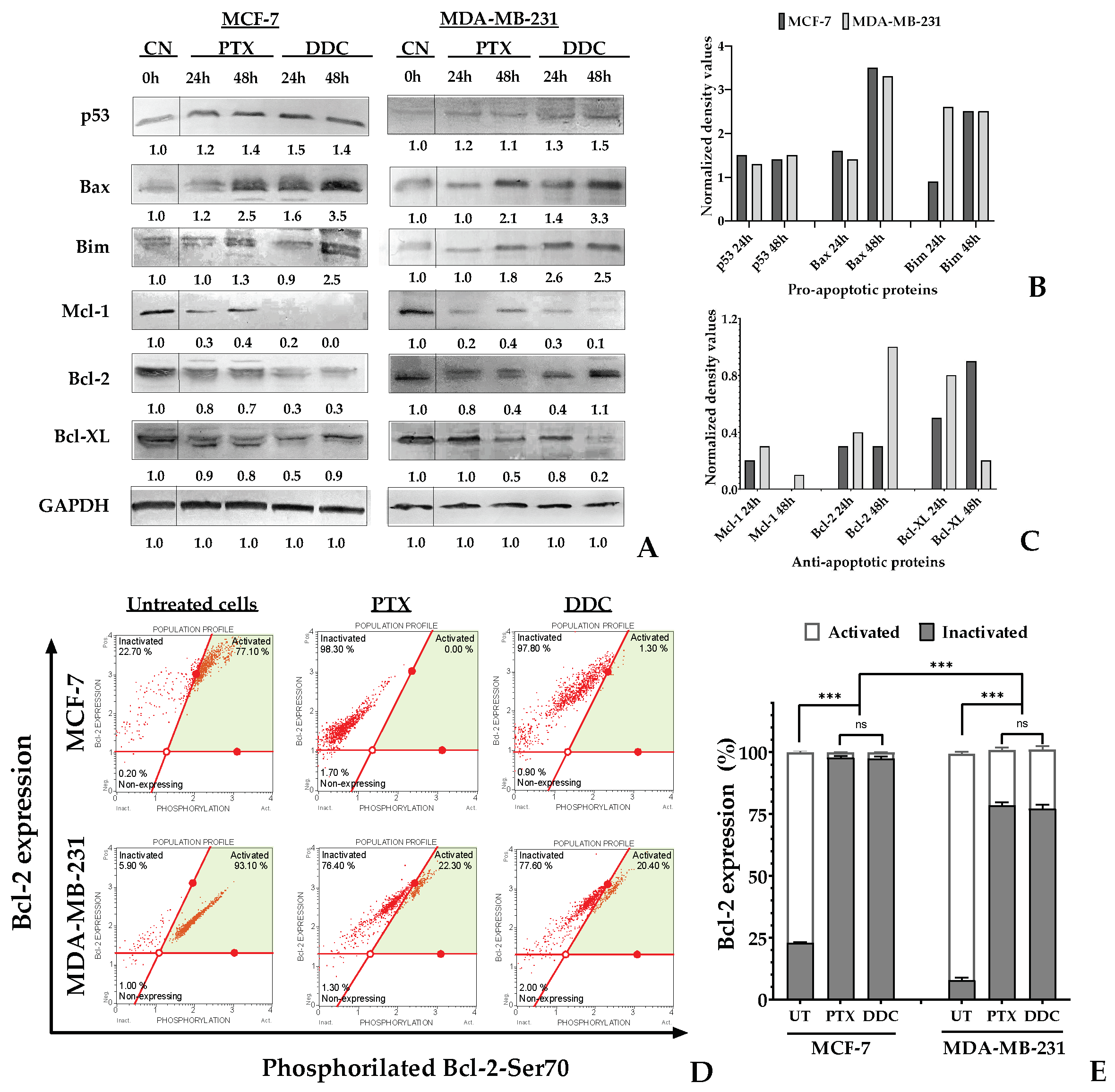 Plants 13 00570 g007
