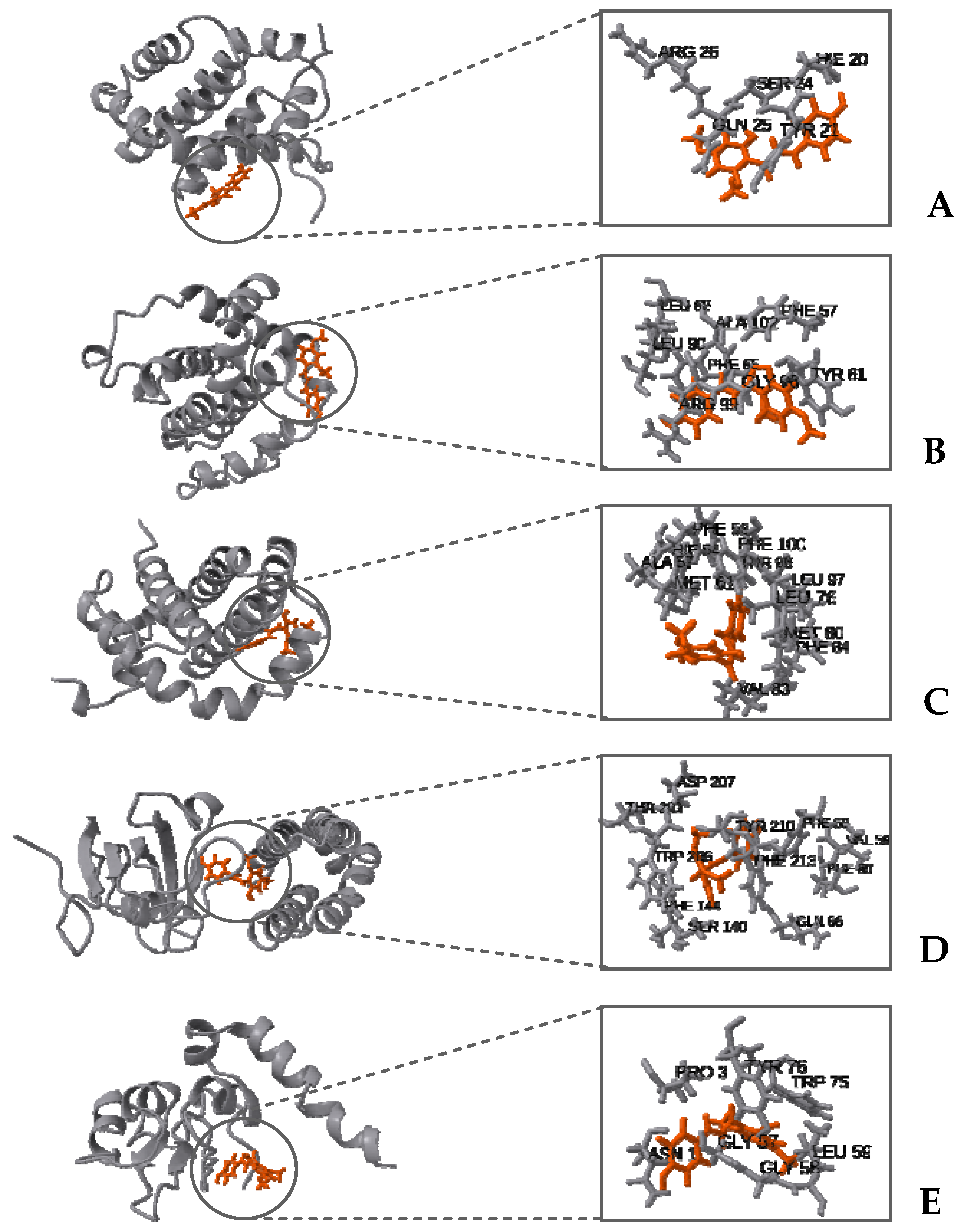 Plants 13 00570 g010