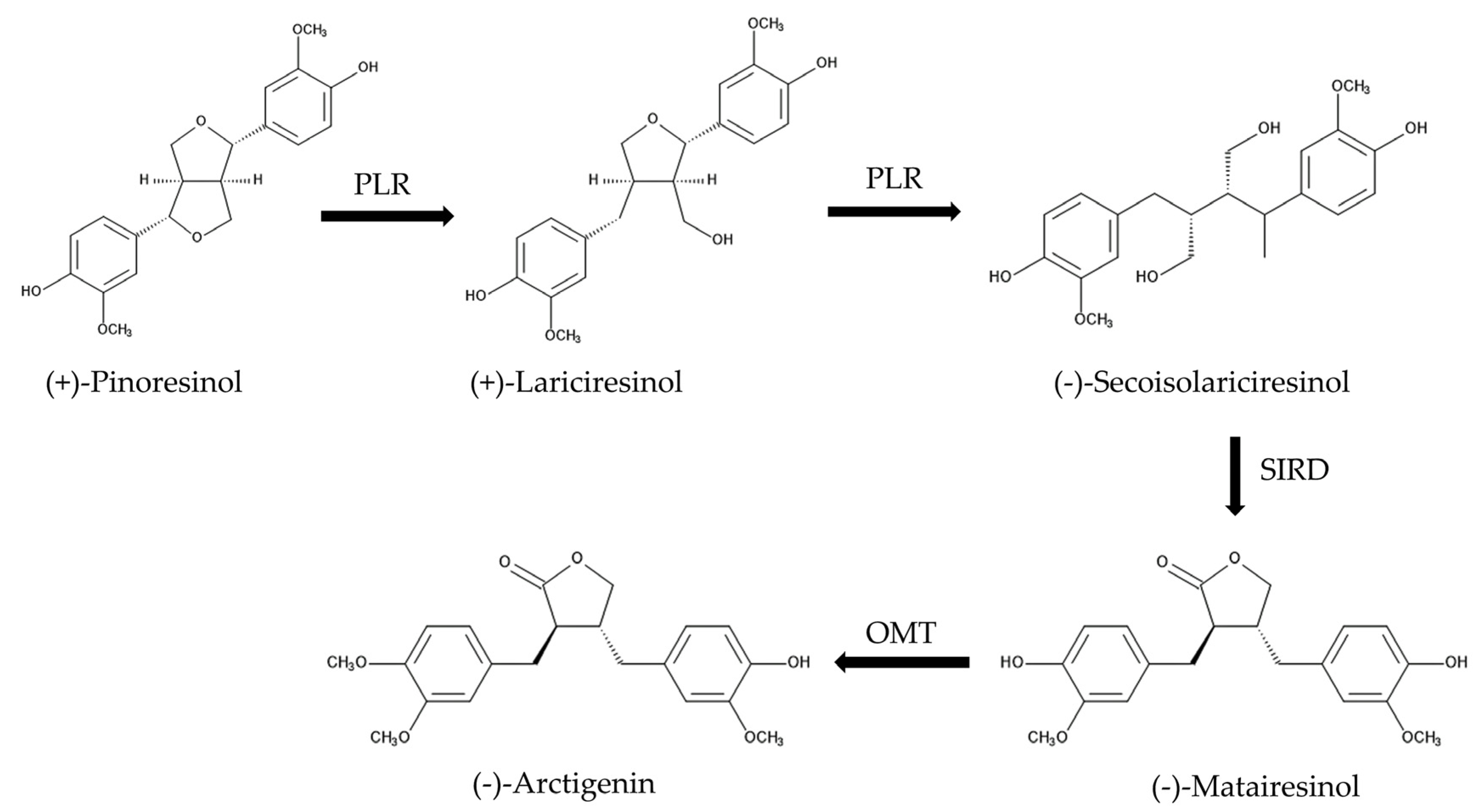 Plants 13 00575 g012
