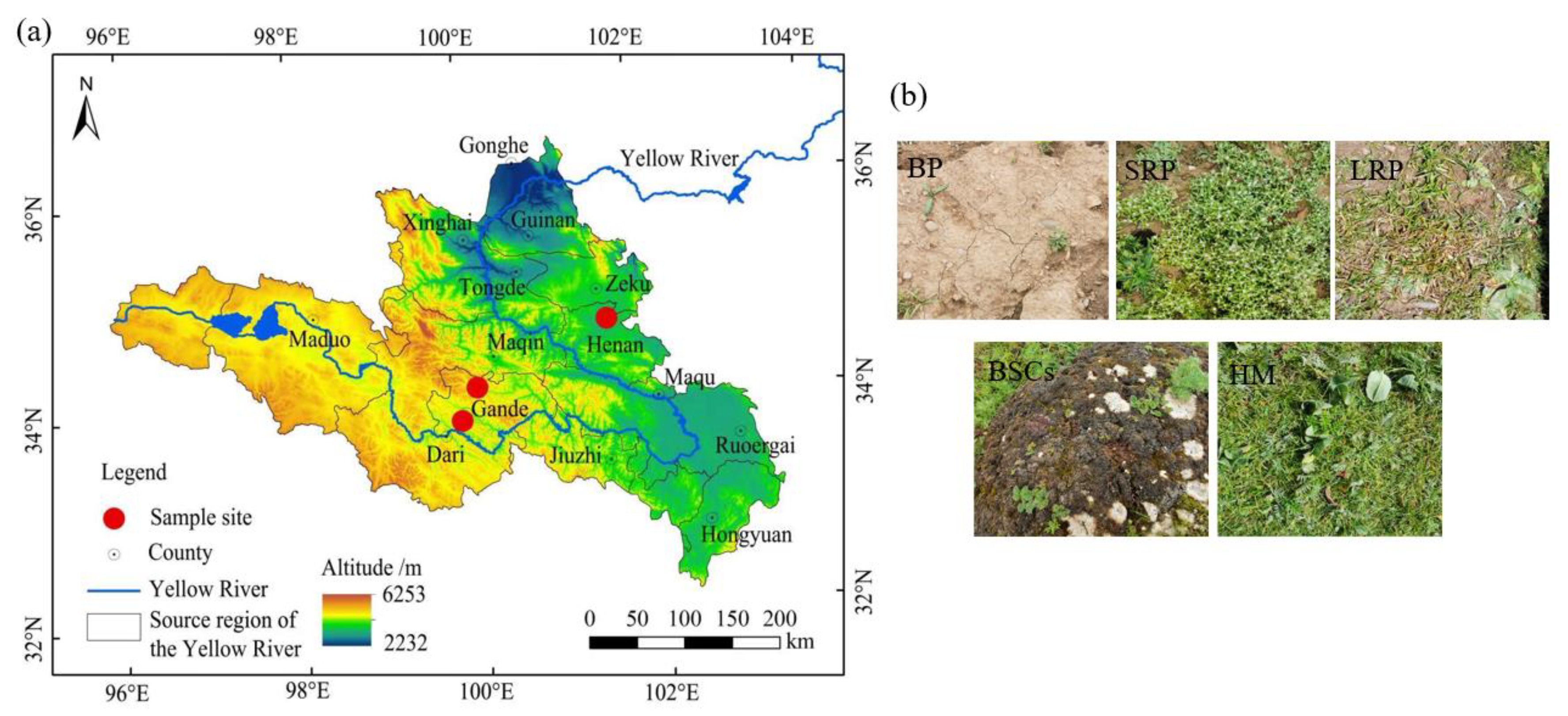 Plants 13 00579 g001