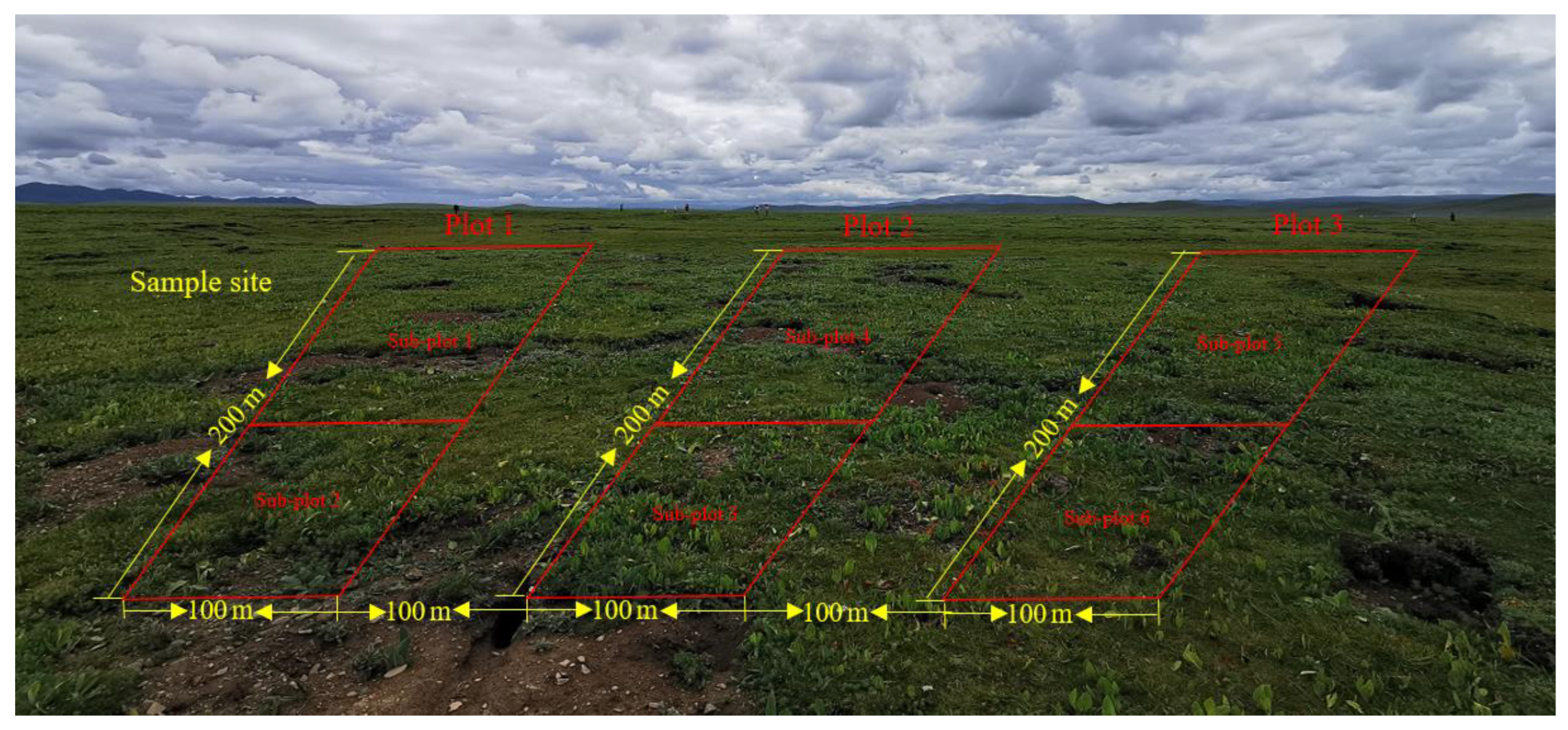 Plants 13 00579 g002