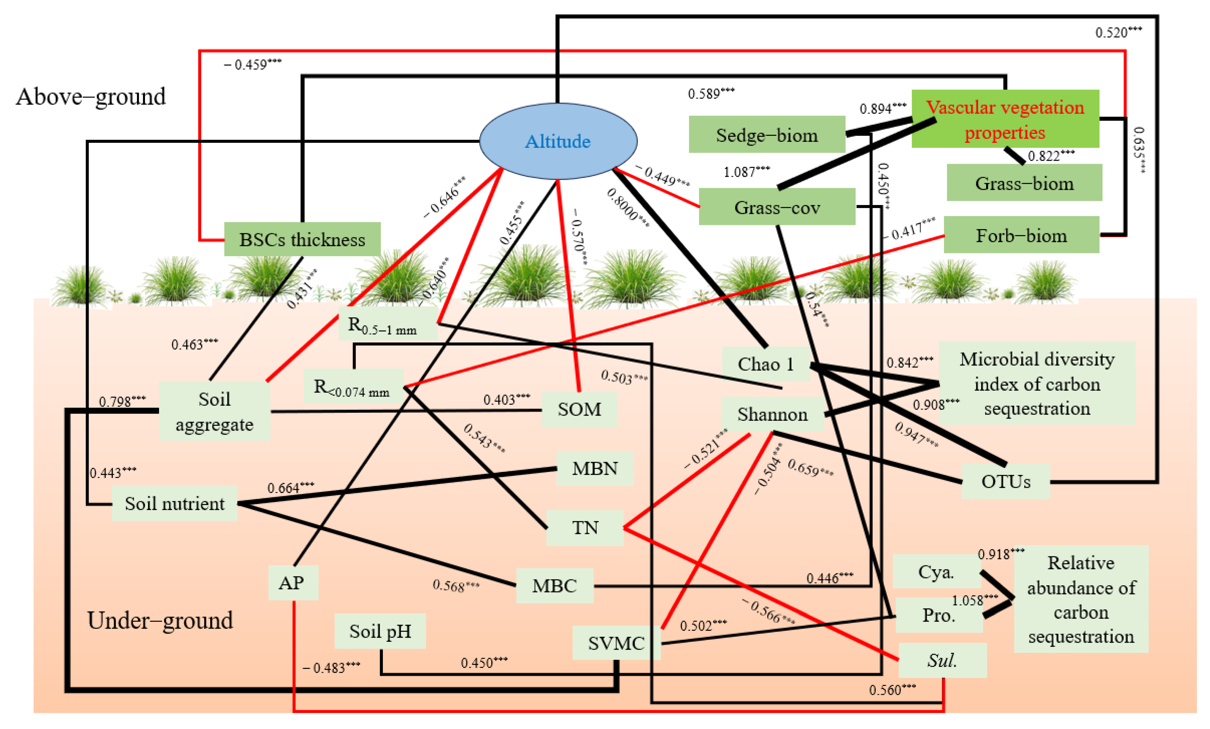 Plants 13 00579 g009