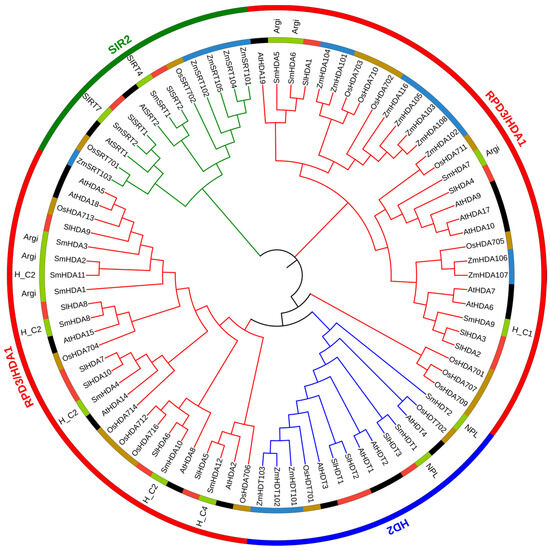 Genome-Wide Identification and Characterization of the