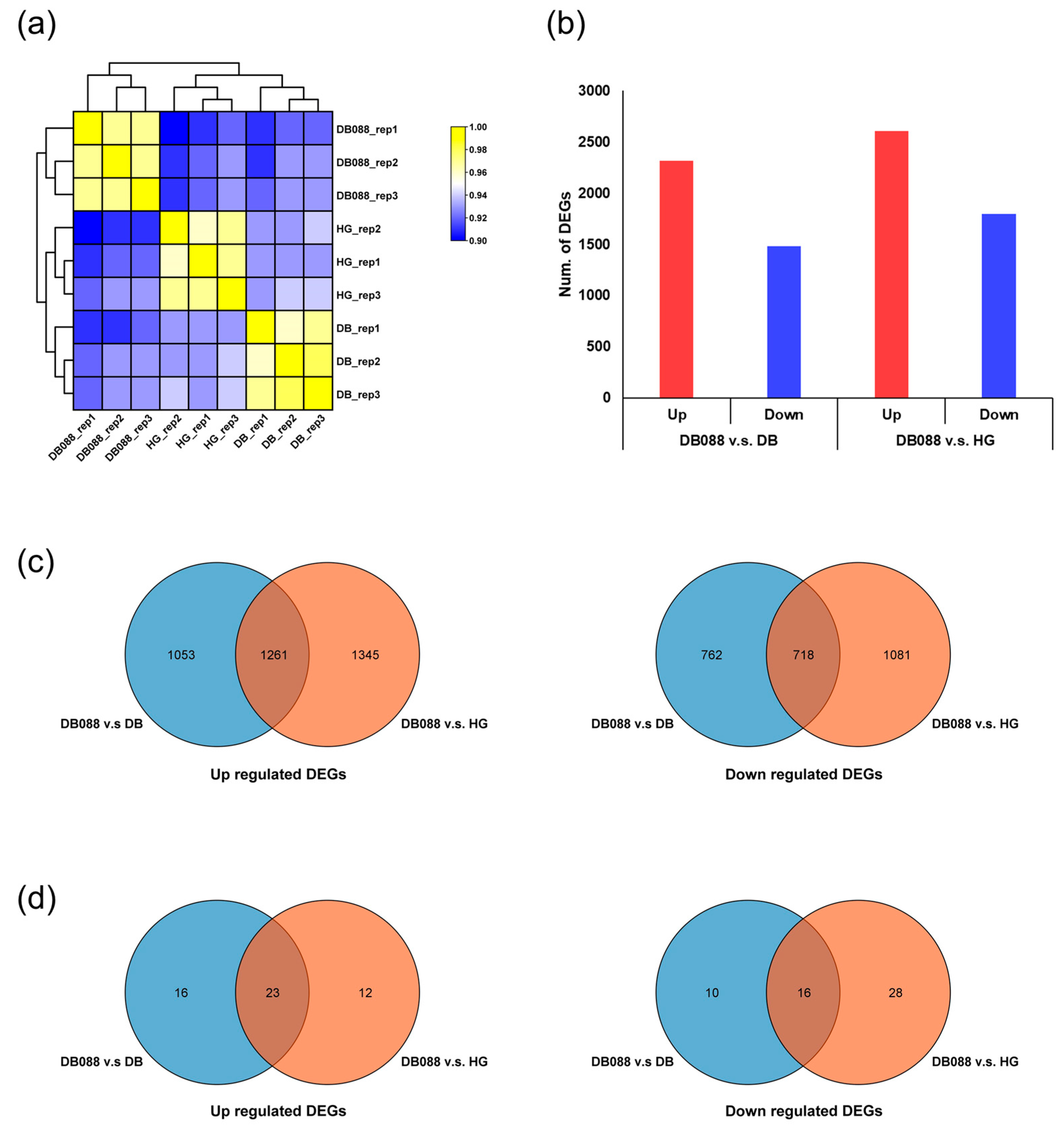 Plants 13 00584 g002