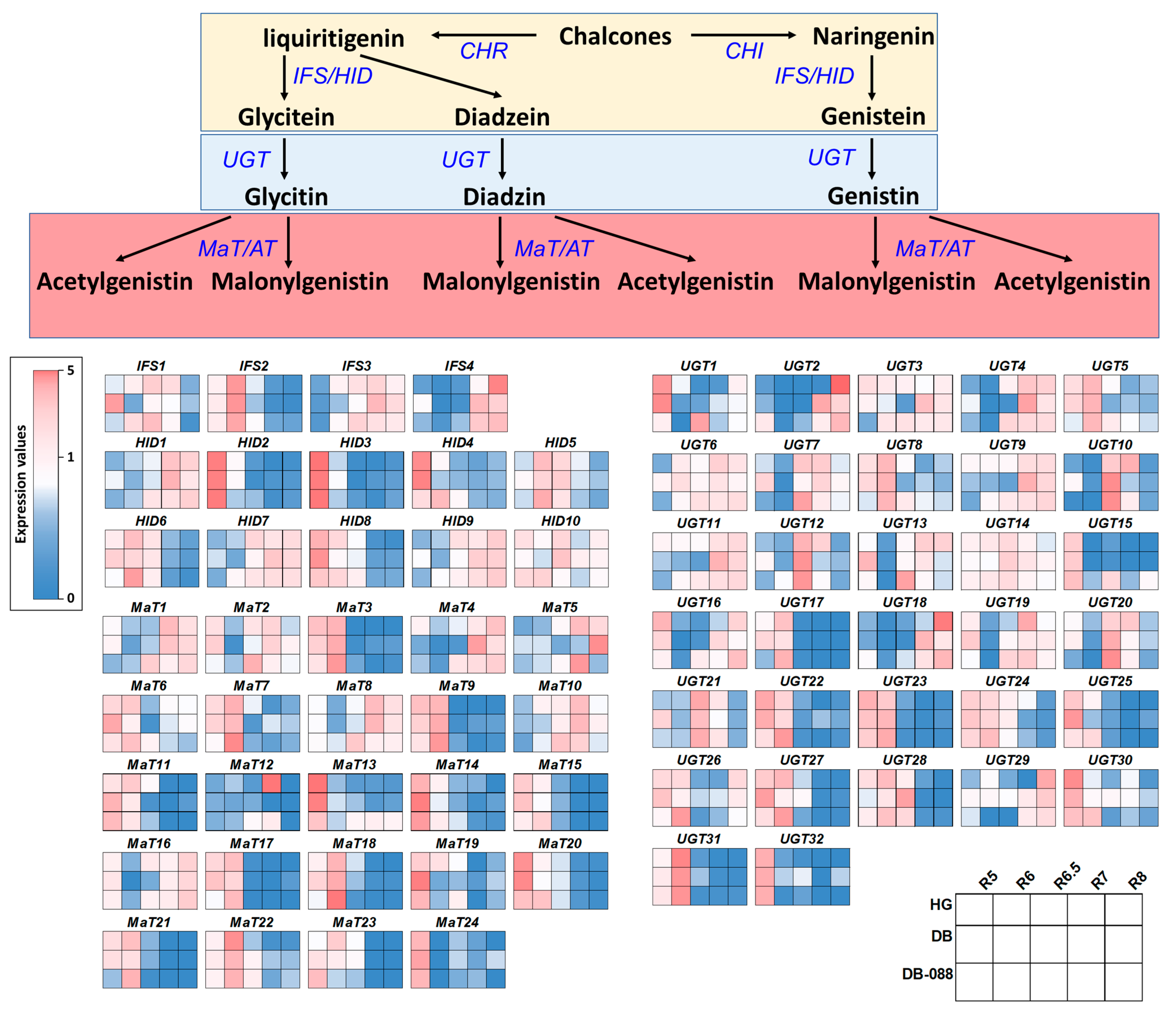 Plants 13 00584 g005
