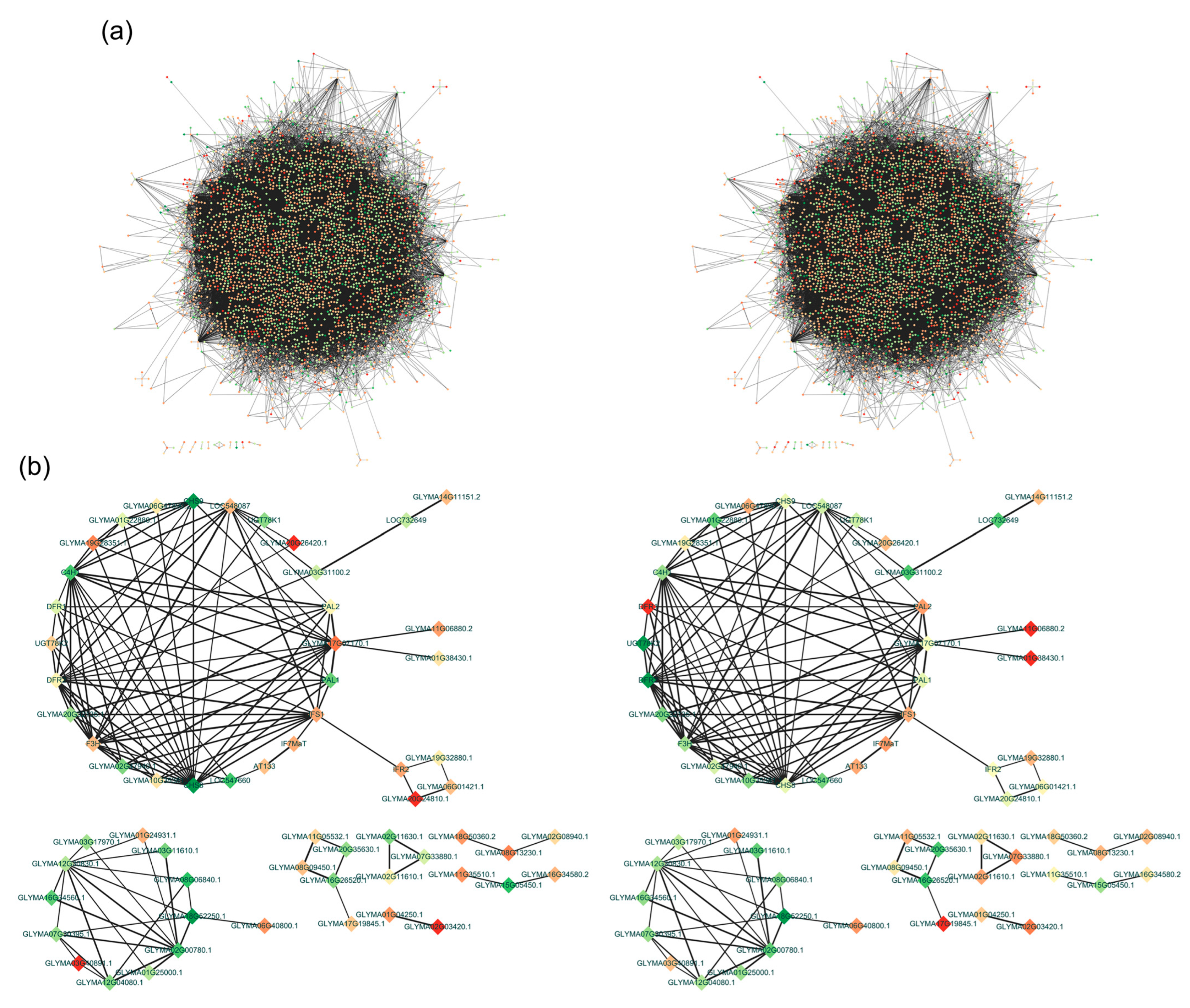 Plants 13 00584 g007