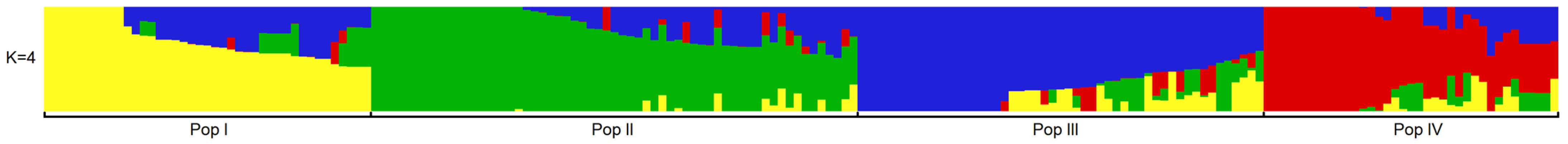 Plants 13 00588 g002