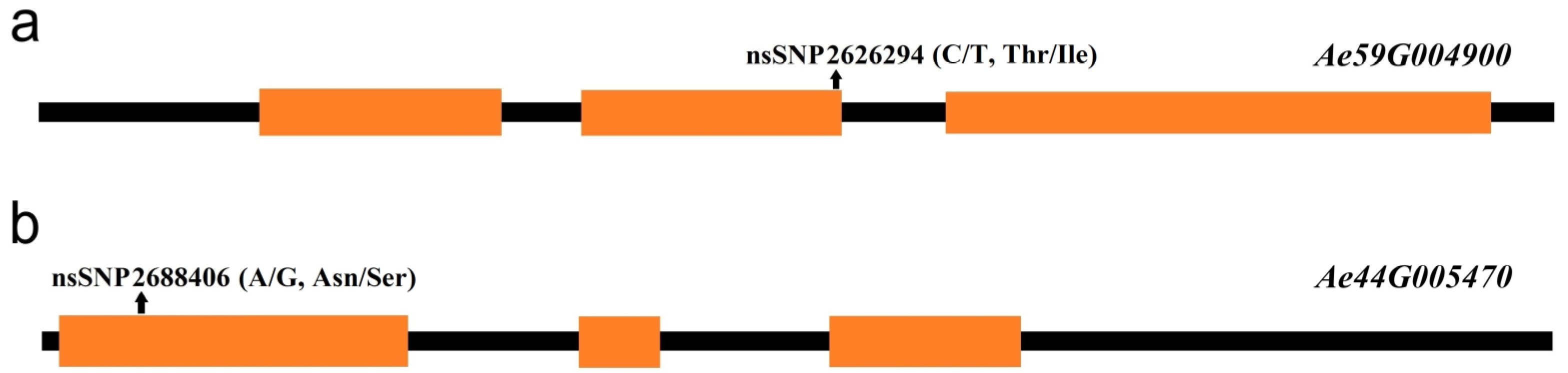 Plants 13 00588 g006