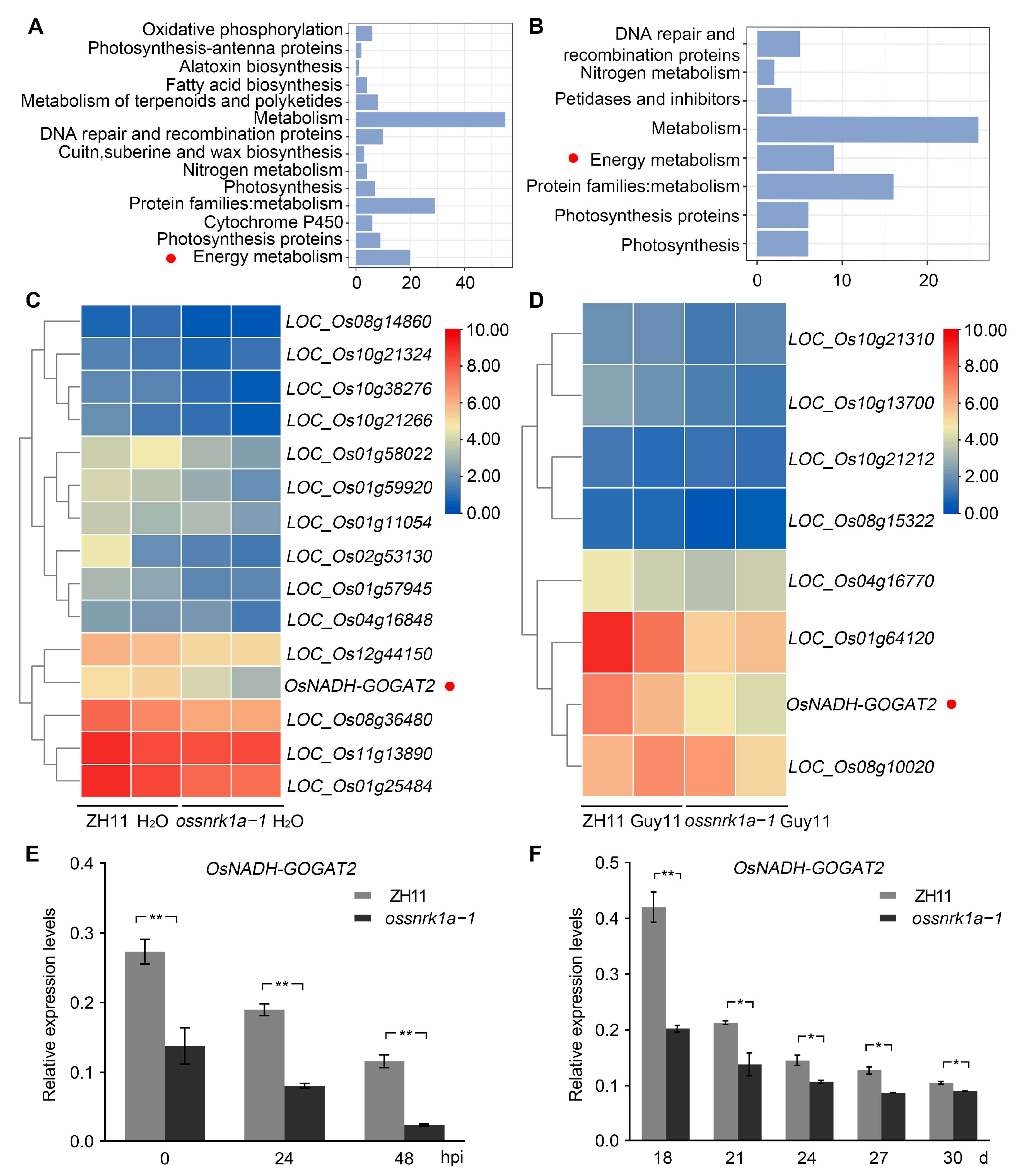 Plants 13 00596 g004