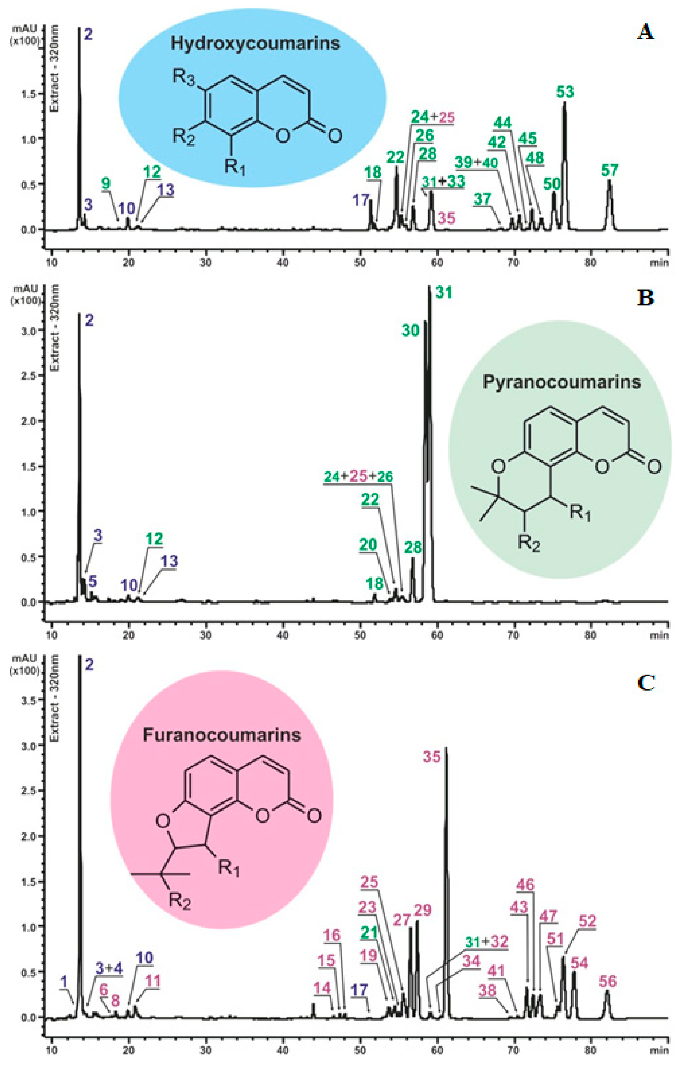 Plants 13 00601 g001