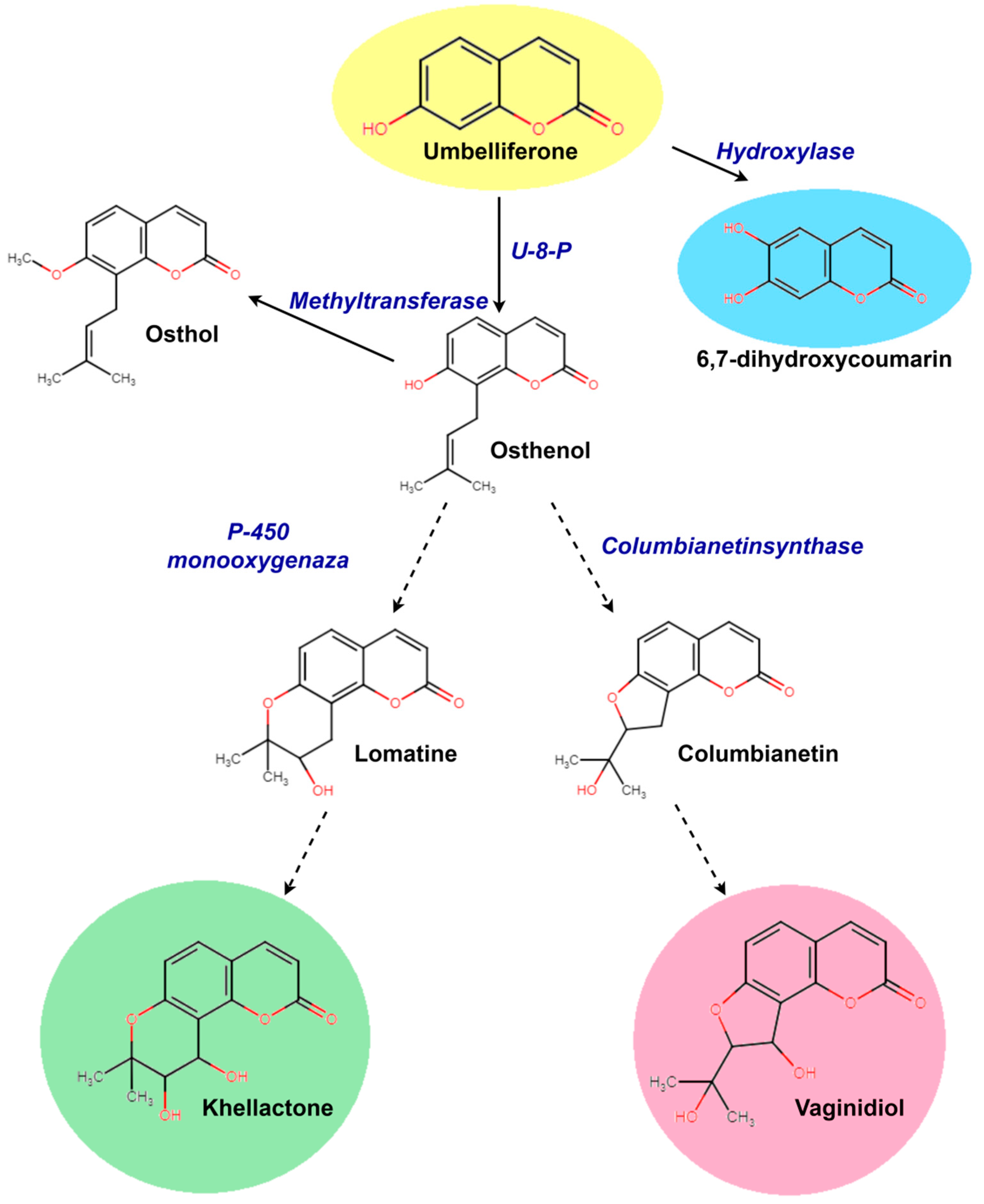 Plants 13 00601 g007