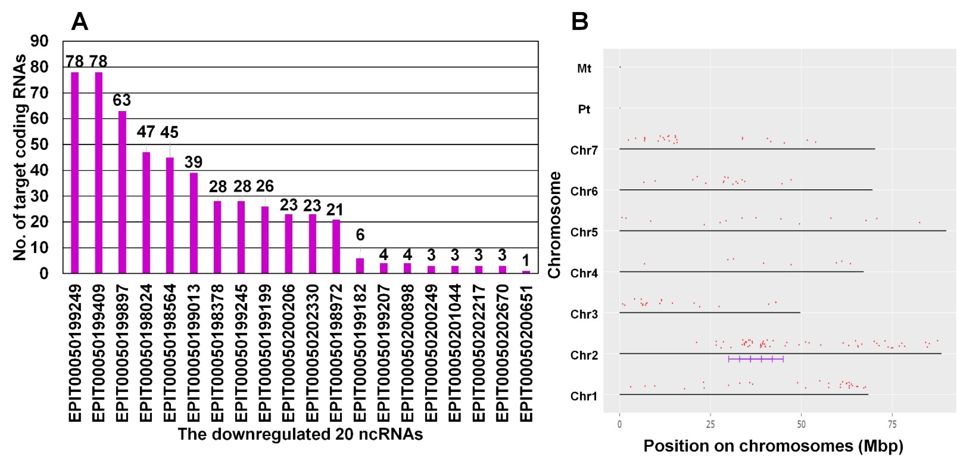 Plants 13 00602 g006
