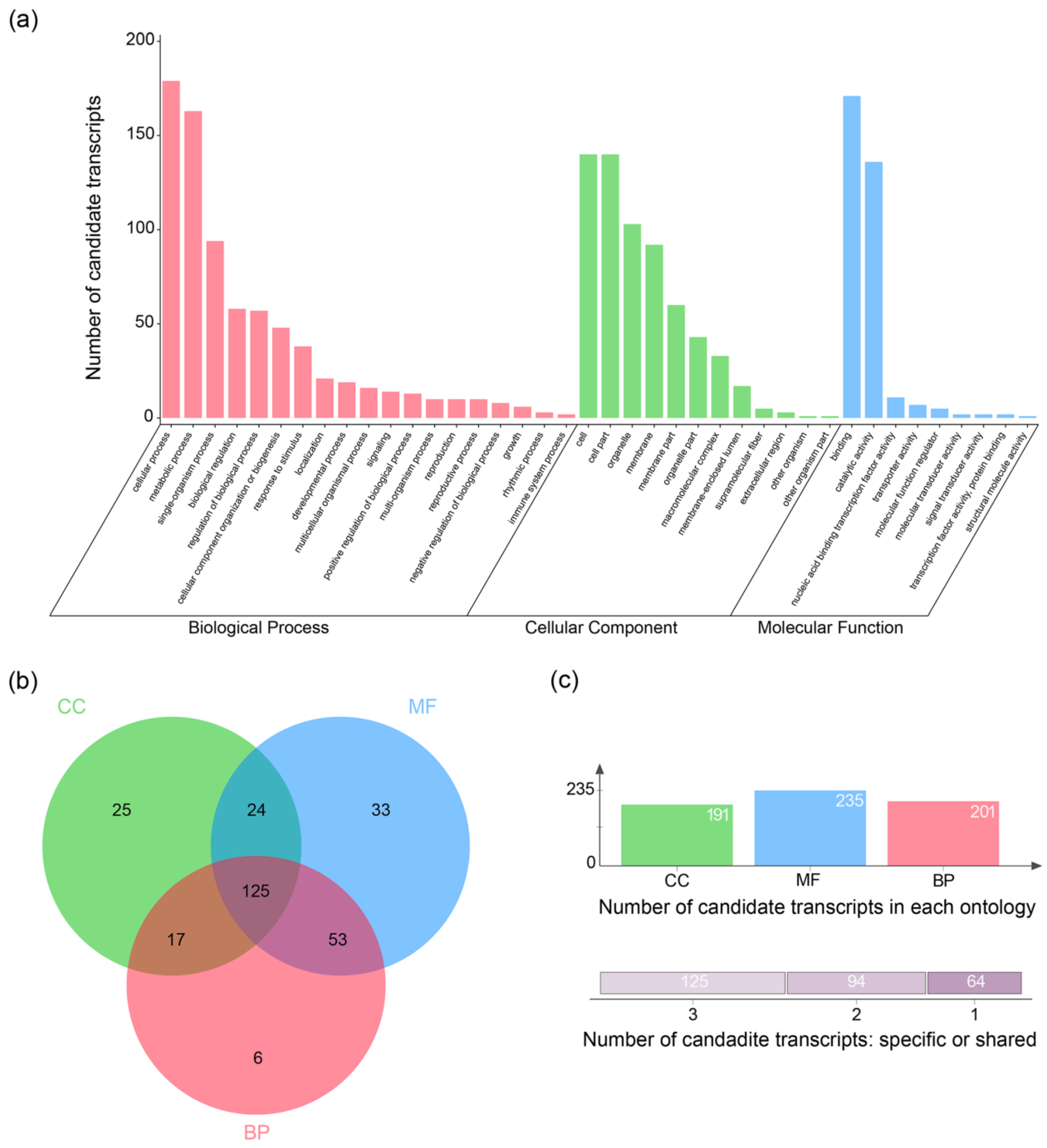 Plants 13 00604 g004