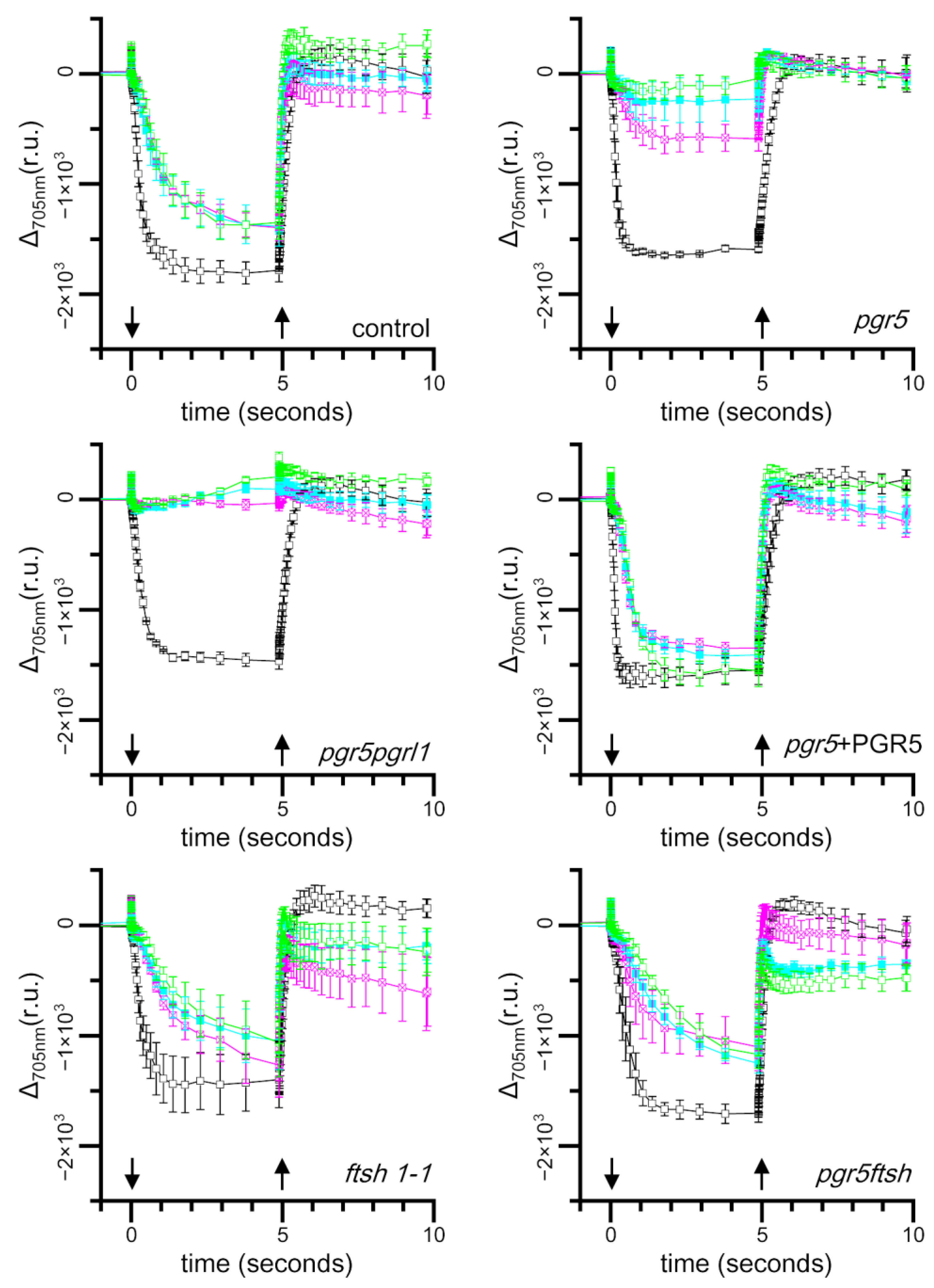 Plants 13 00606 g003