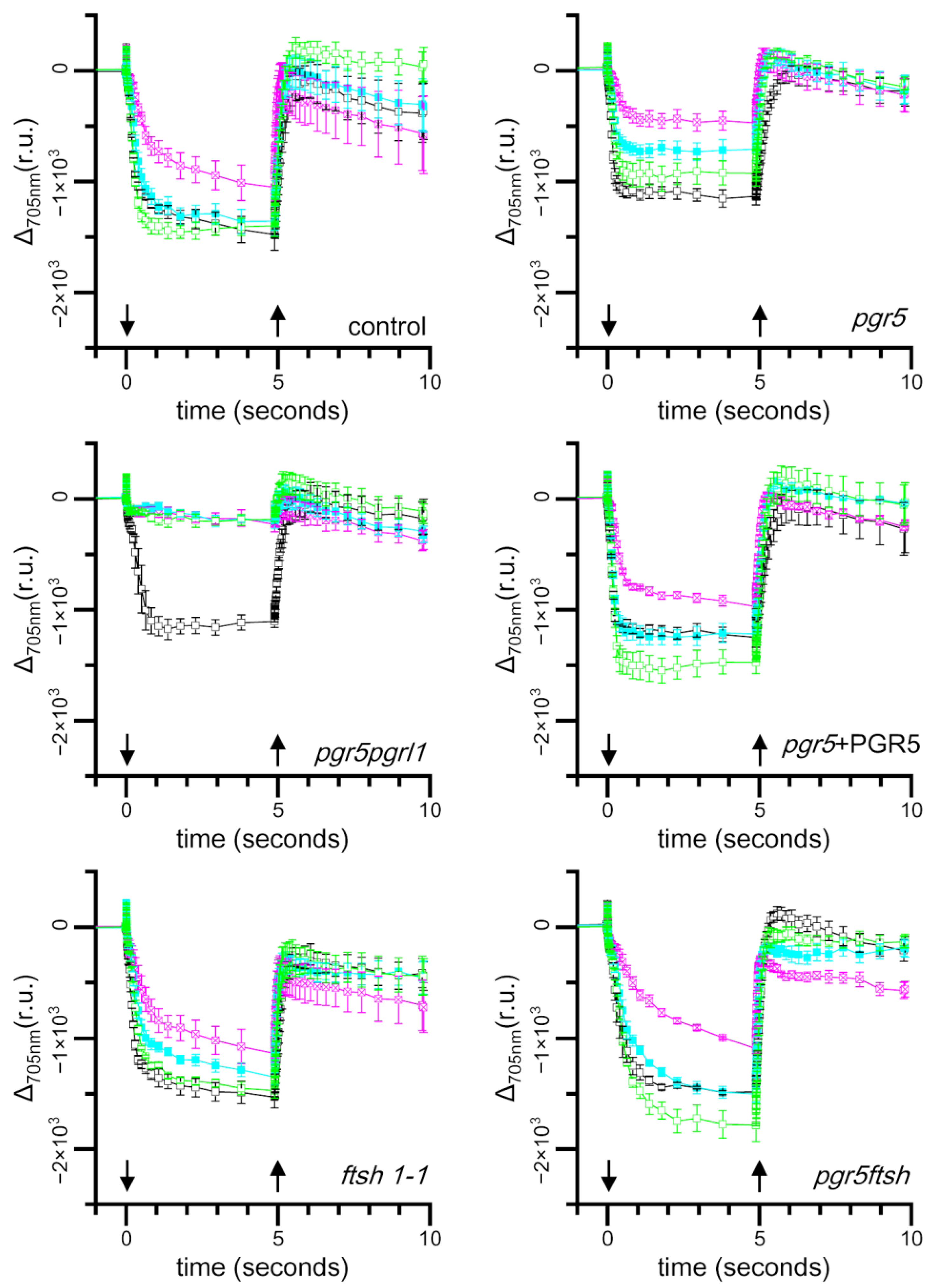 Plants 13 00606 g004