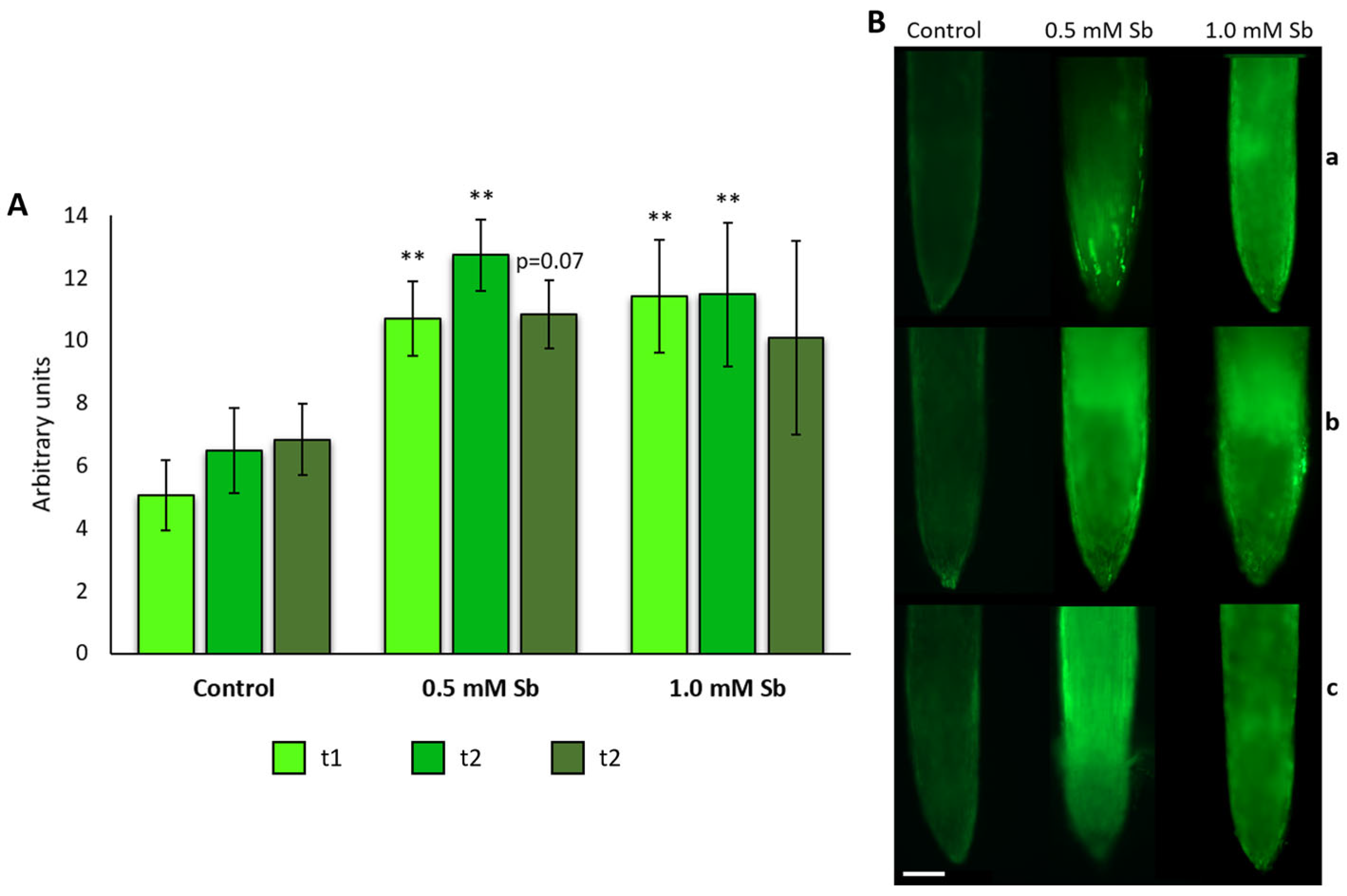 Plants 13 00609 g006