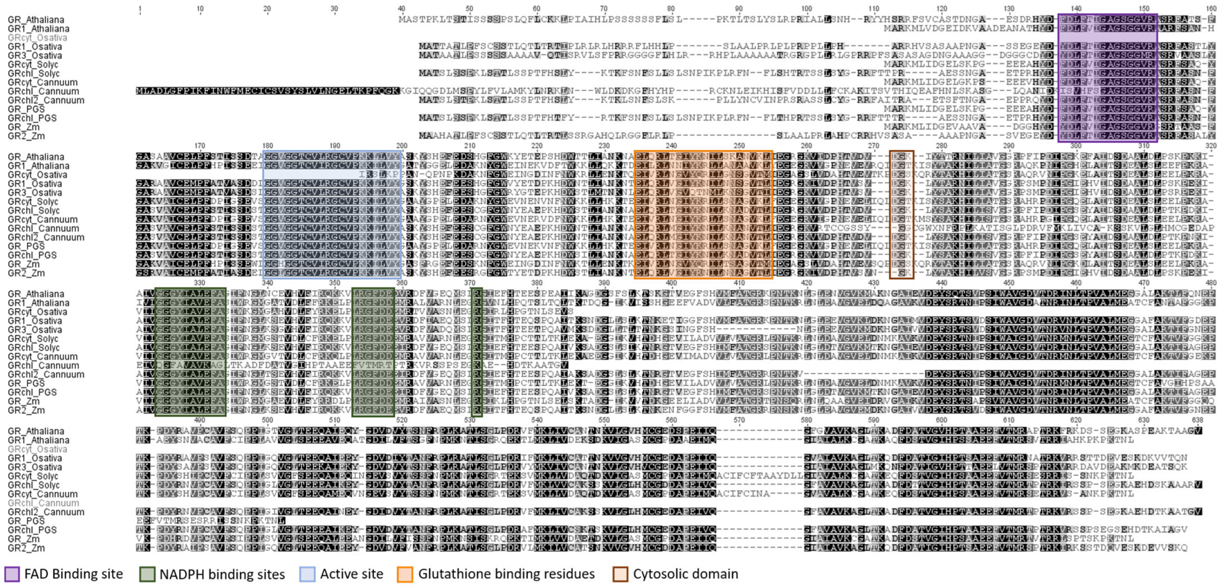 Plants 13 00609 g009