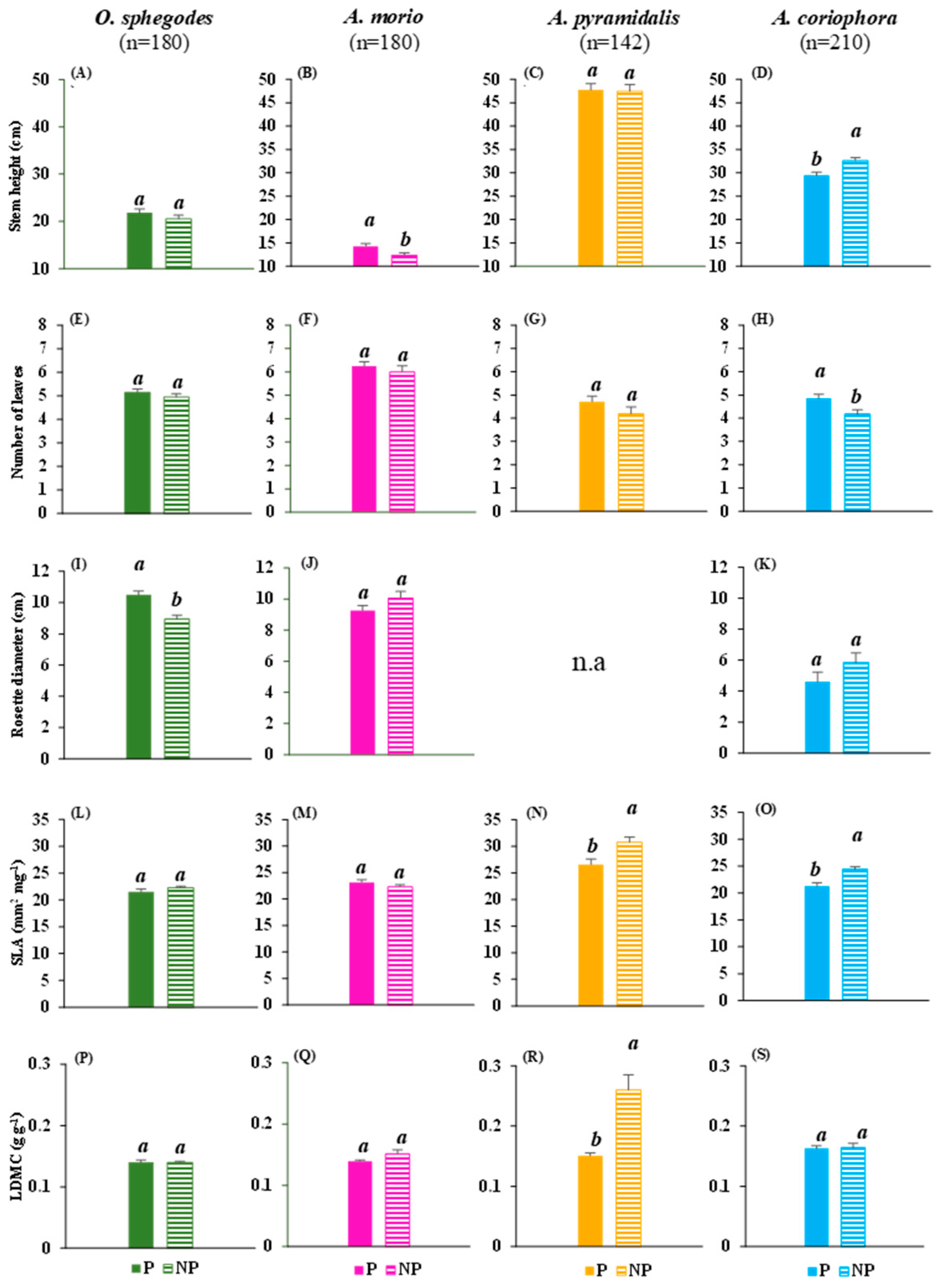Plants 13 00610 g001 Plants 13 00610 g001