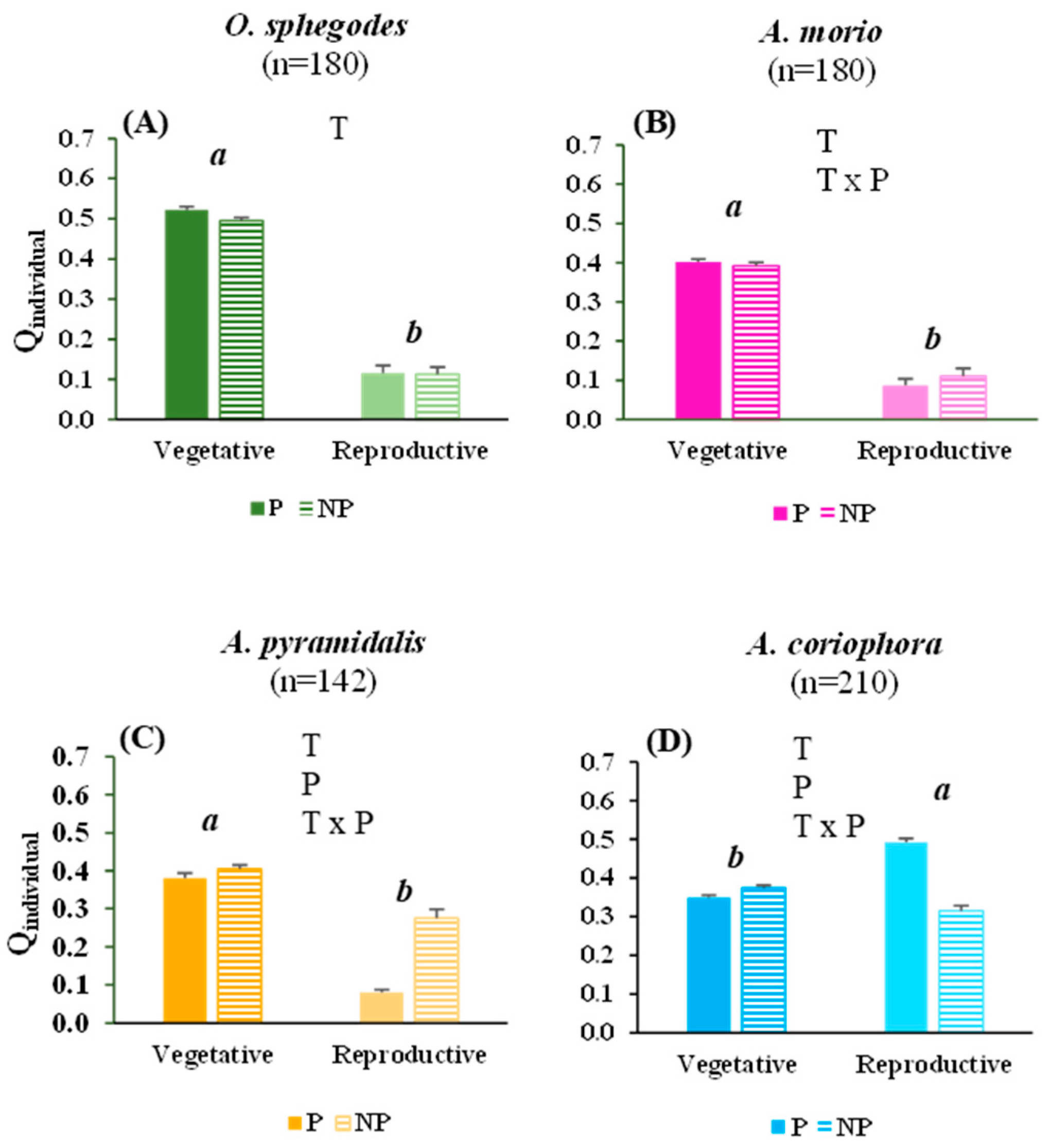 Plants 13 00610 g002 Plants 13 00610 g002