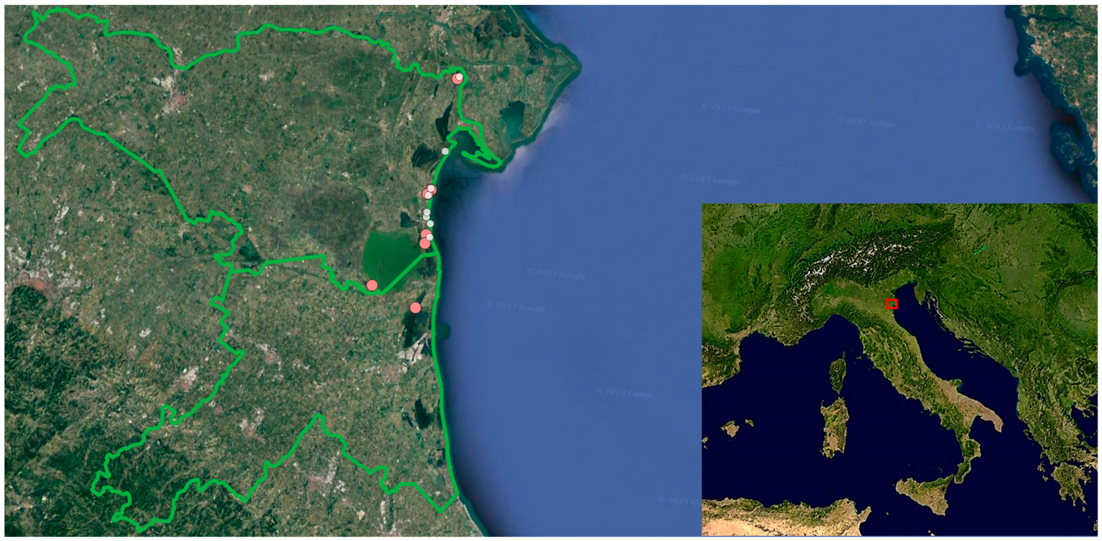 Plants 13 00610 g004 Plants 13 00610 g004