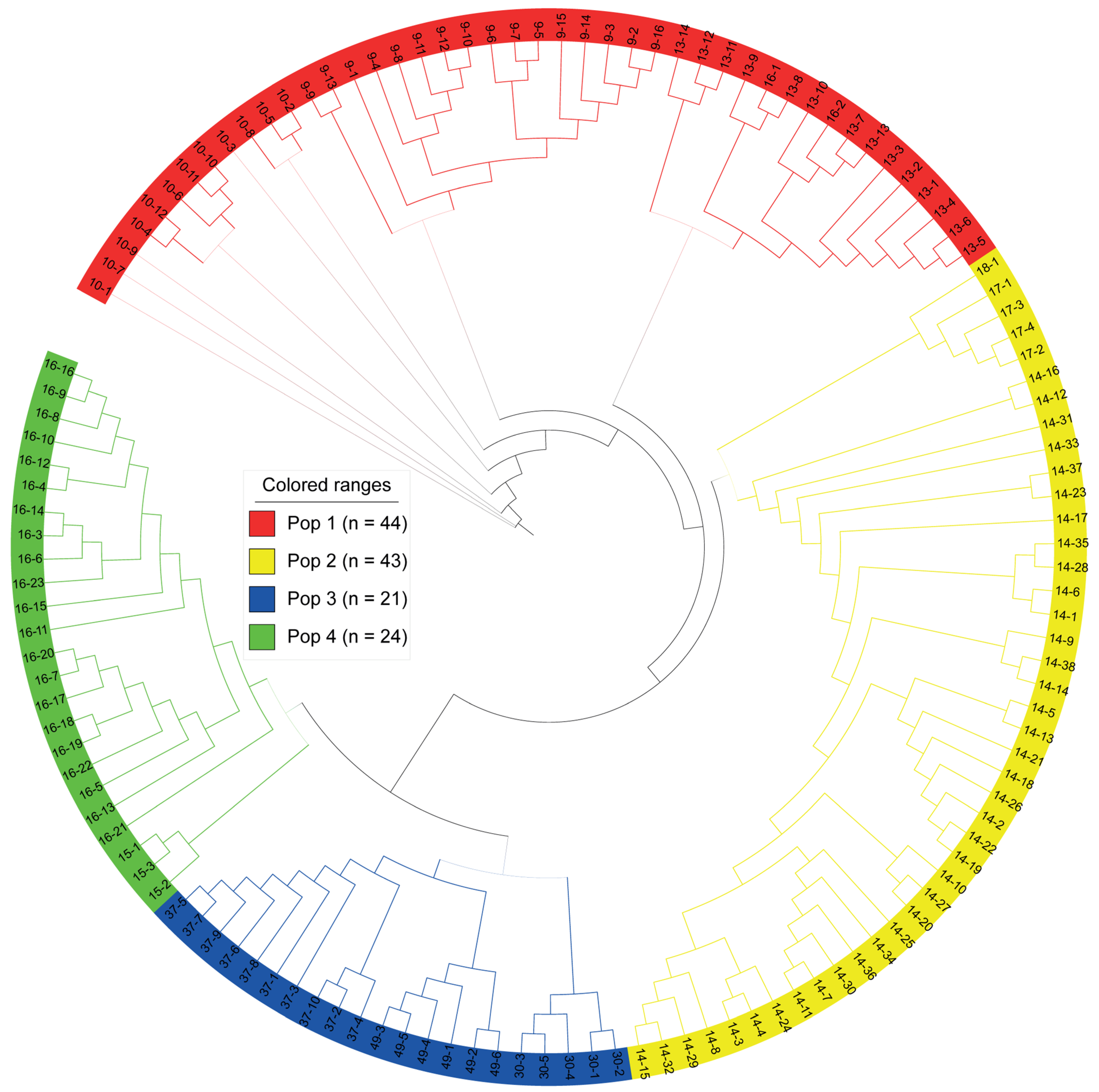 Plants 13 00618 g002