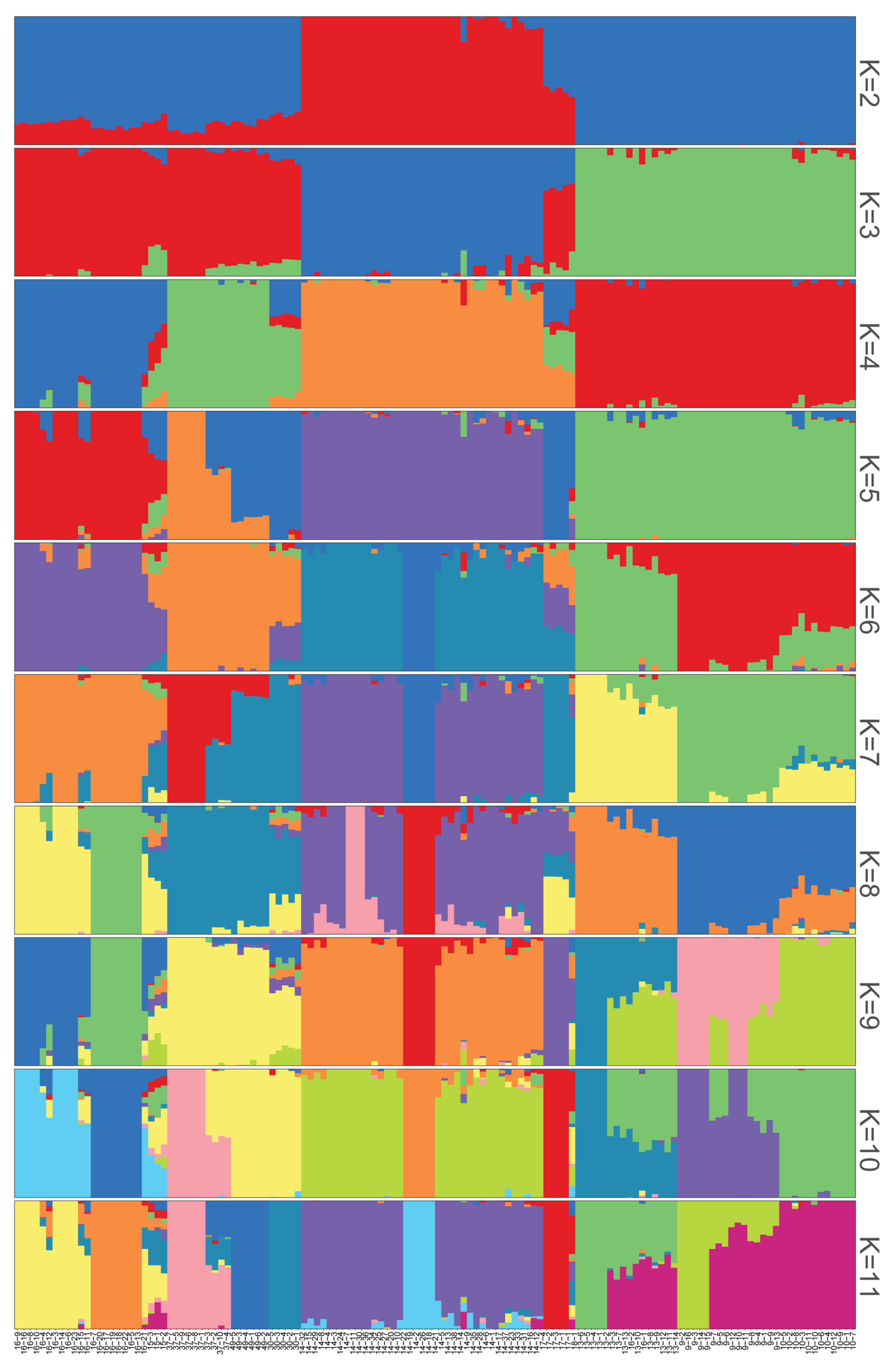 Plants 13 00618 g004