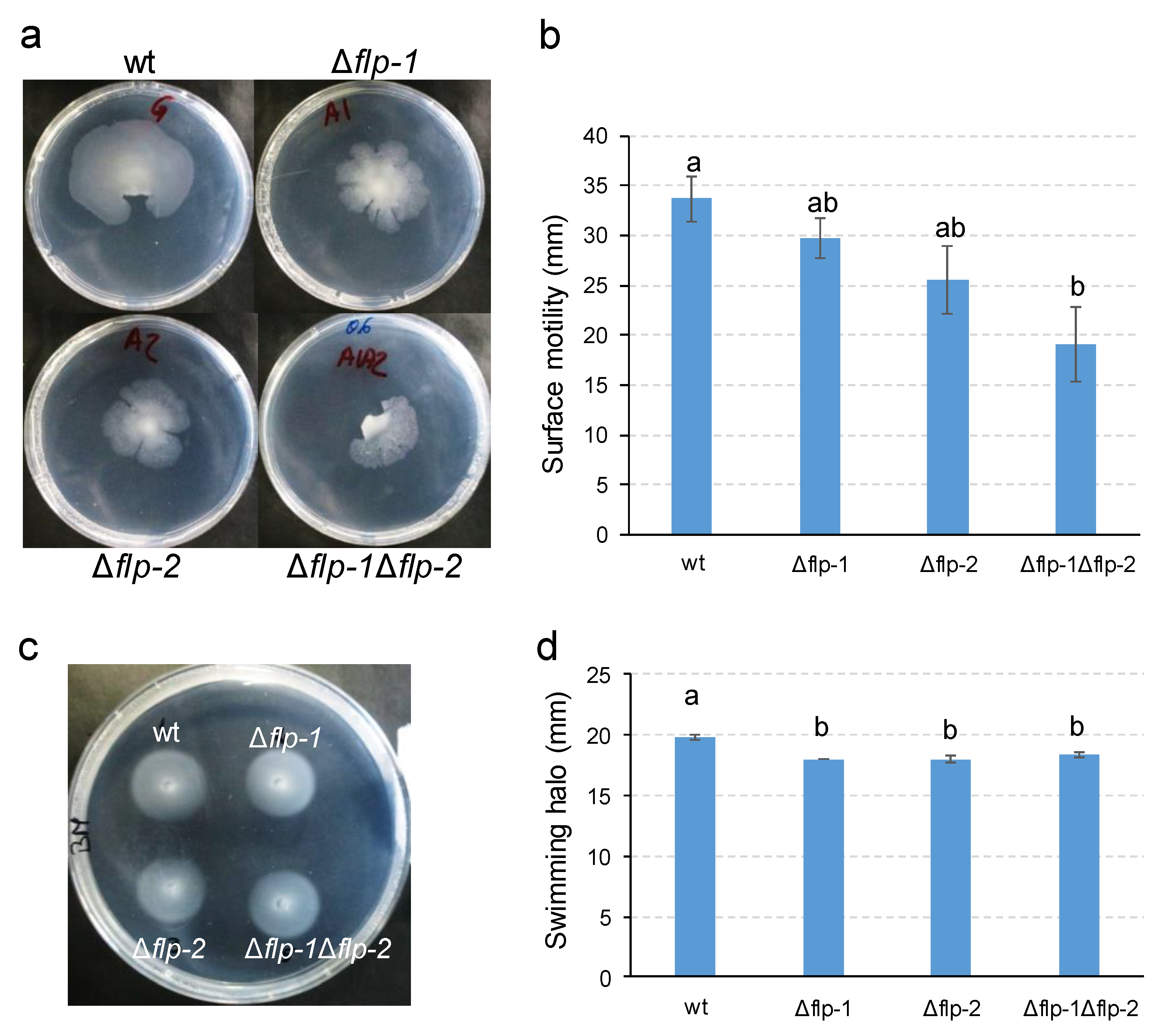 Plants 13 00628 g004