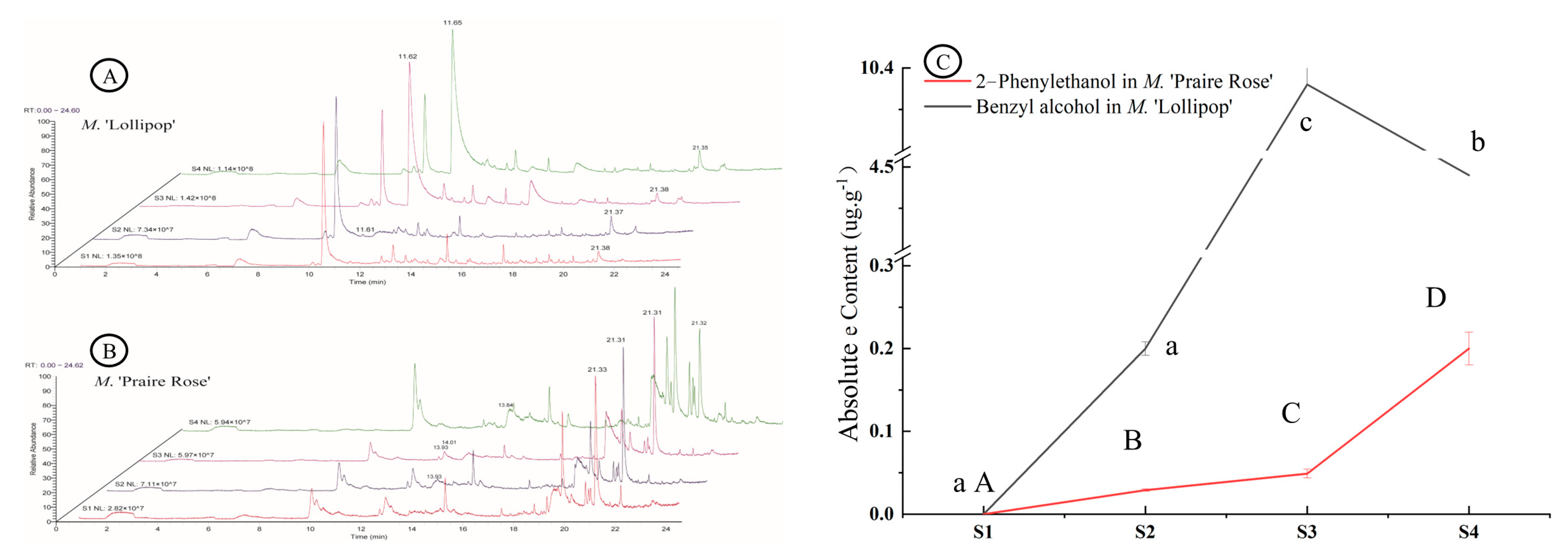 Plants 13 00631 g001