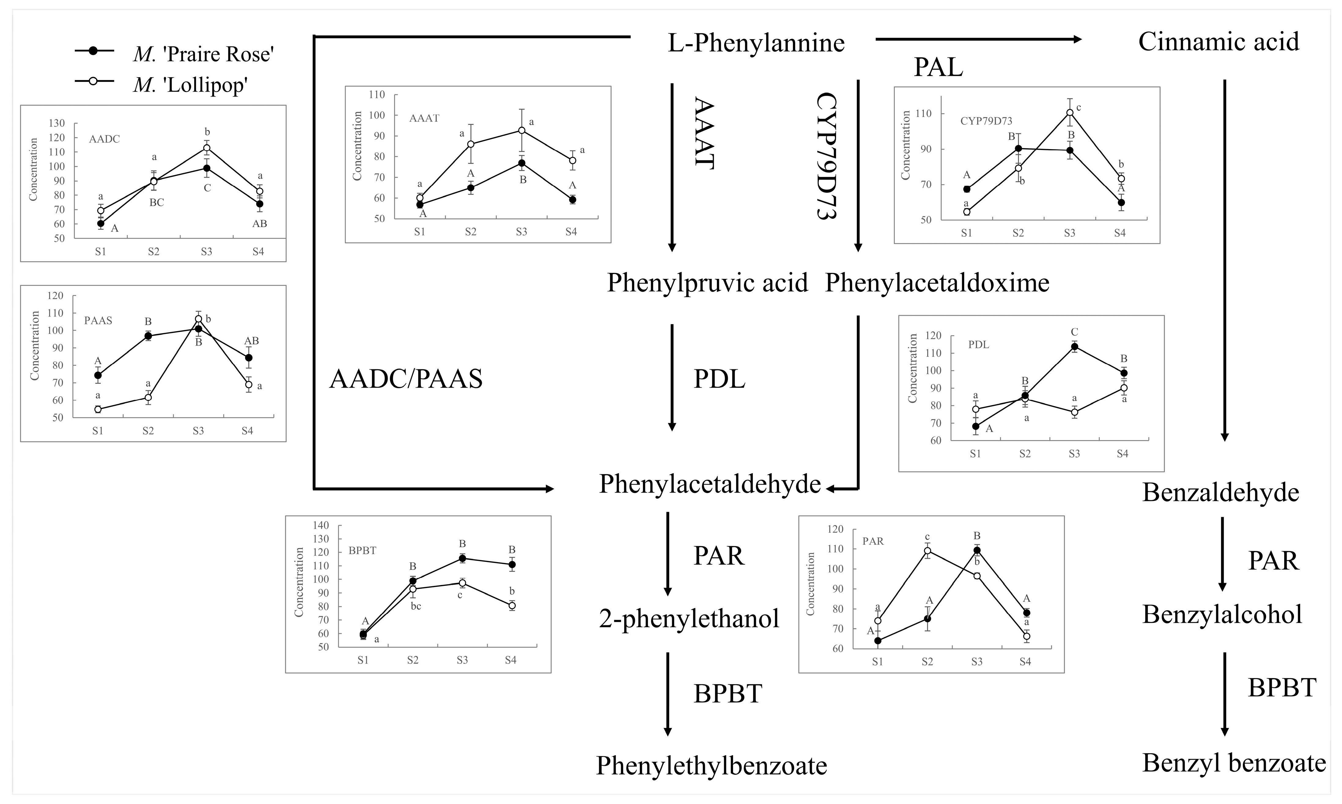 Plants 13 00631 g002