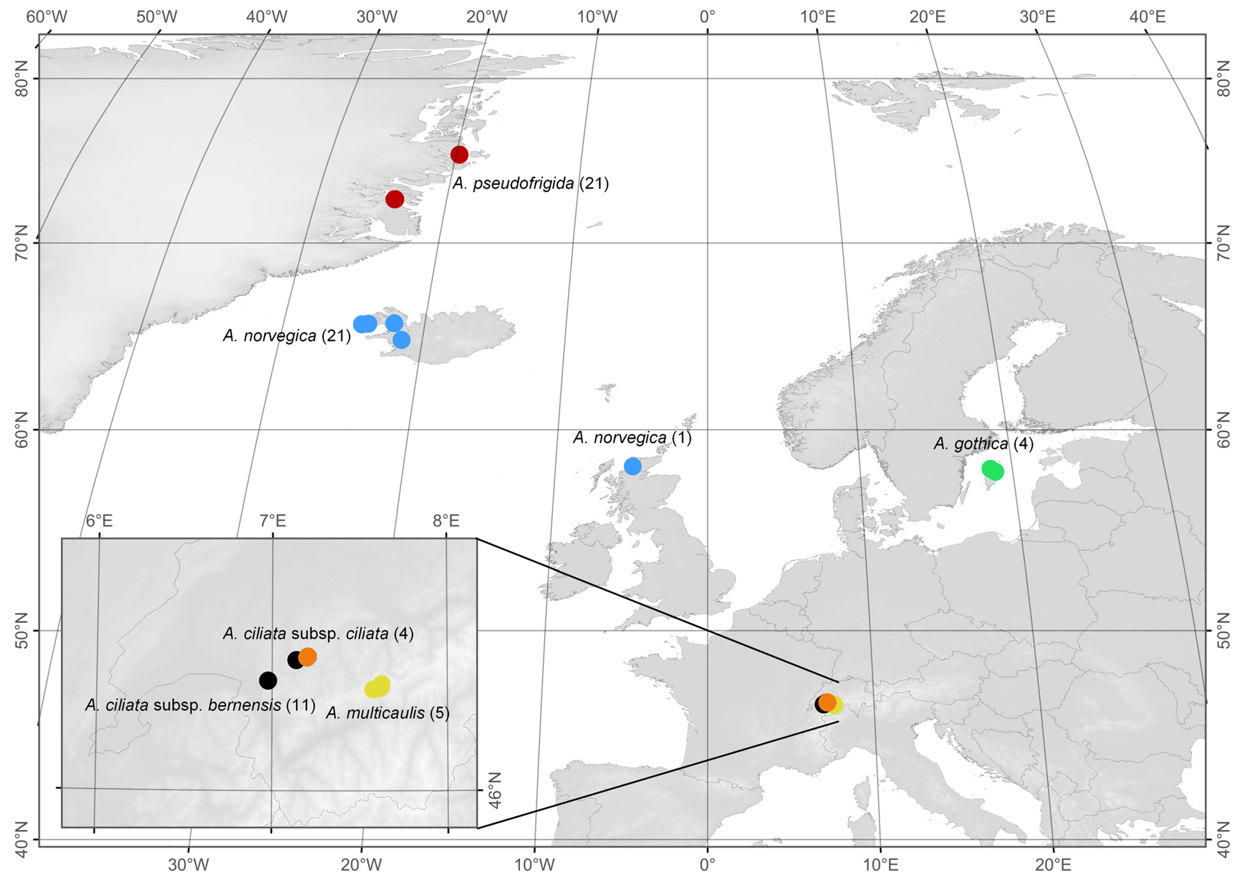 Plants 13 00635 g003