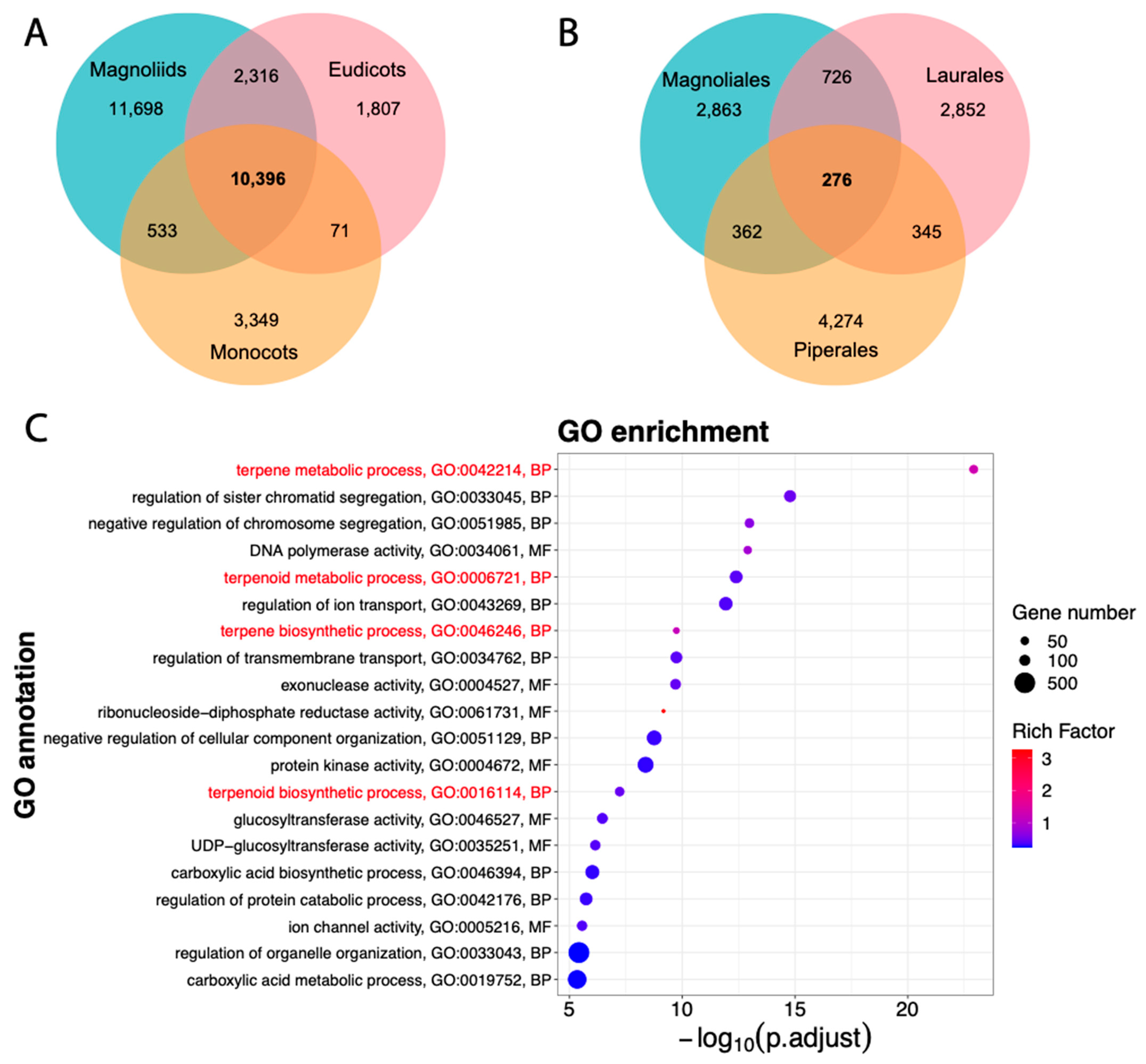Plants 13 00636 g005