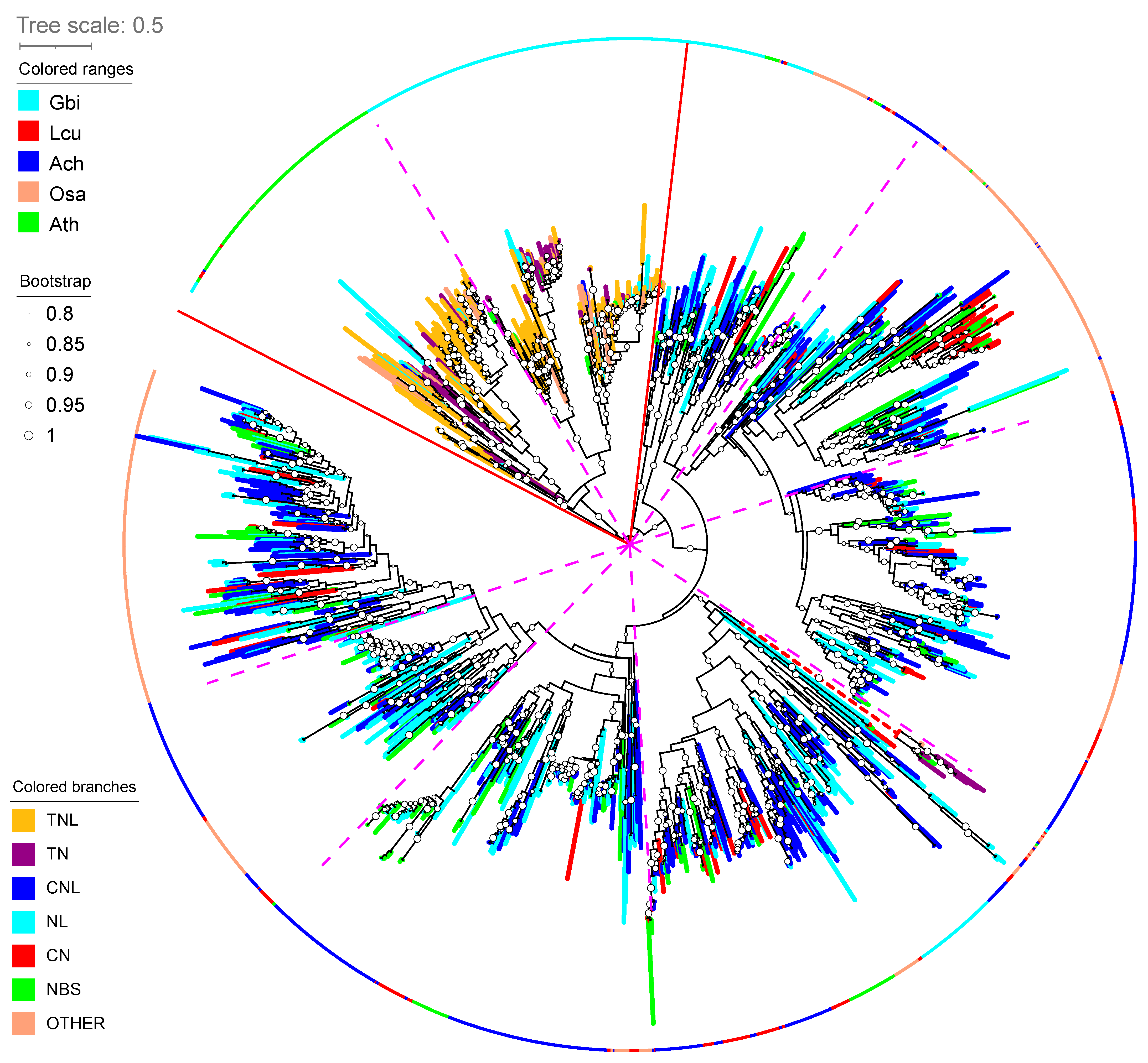 Plants 13 00636 g006