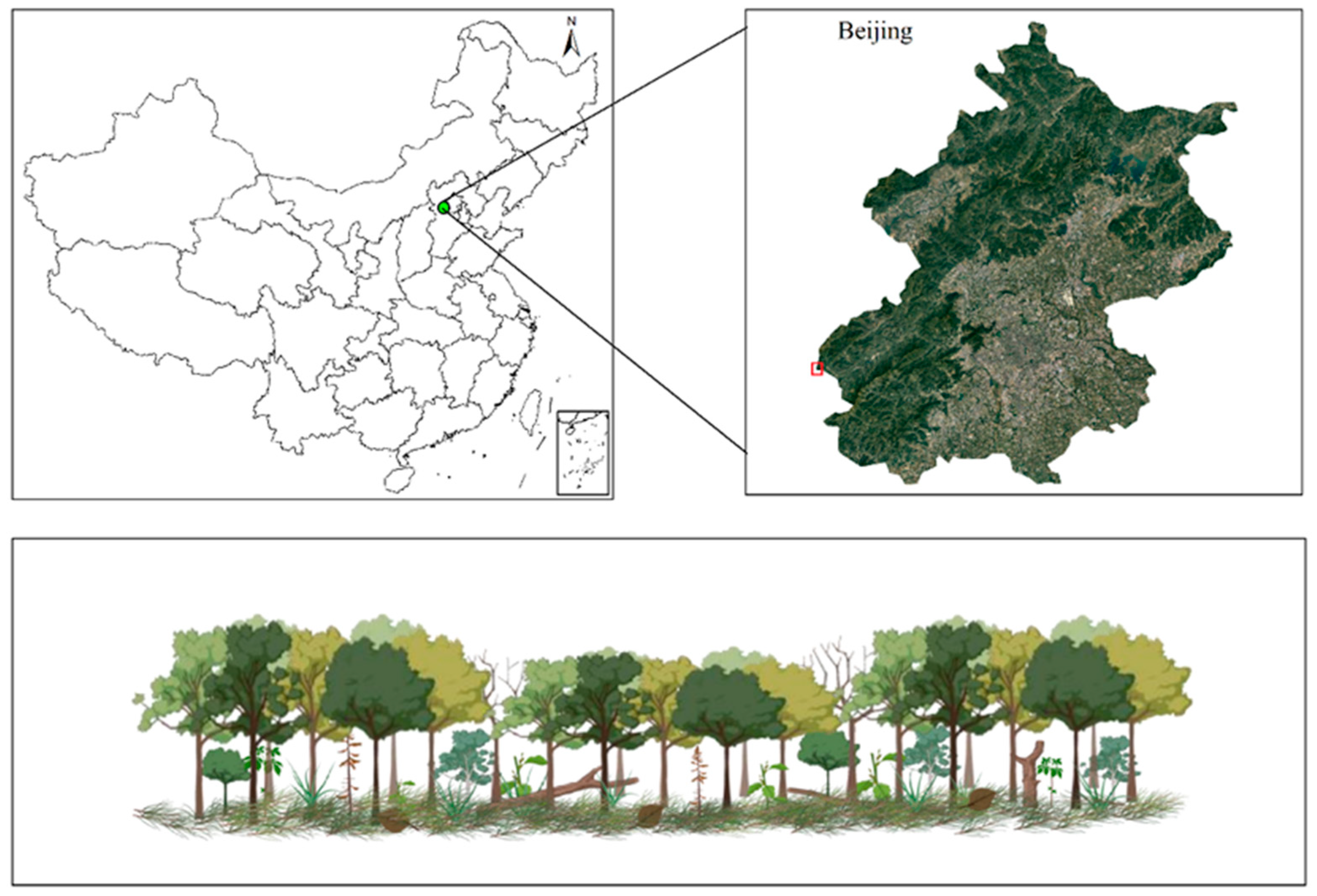 Plants 13 00638 g001