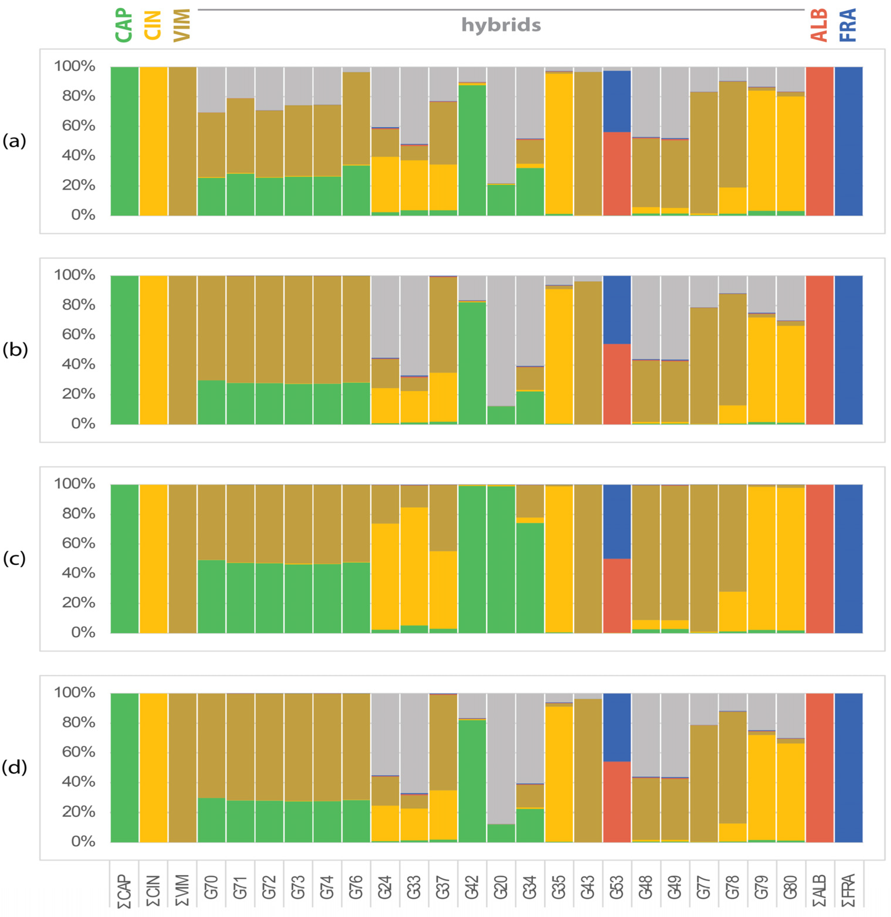 Plants 13 00639 g001