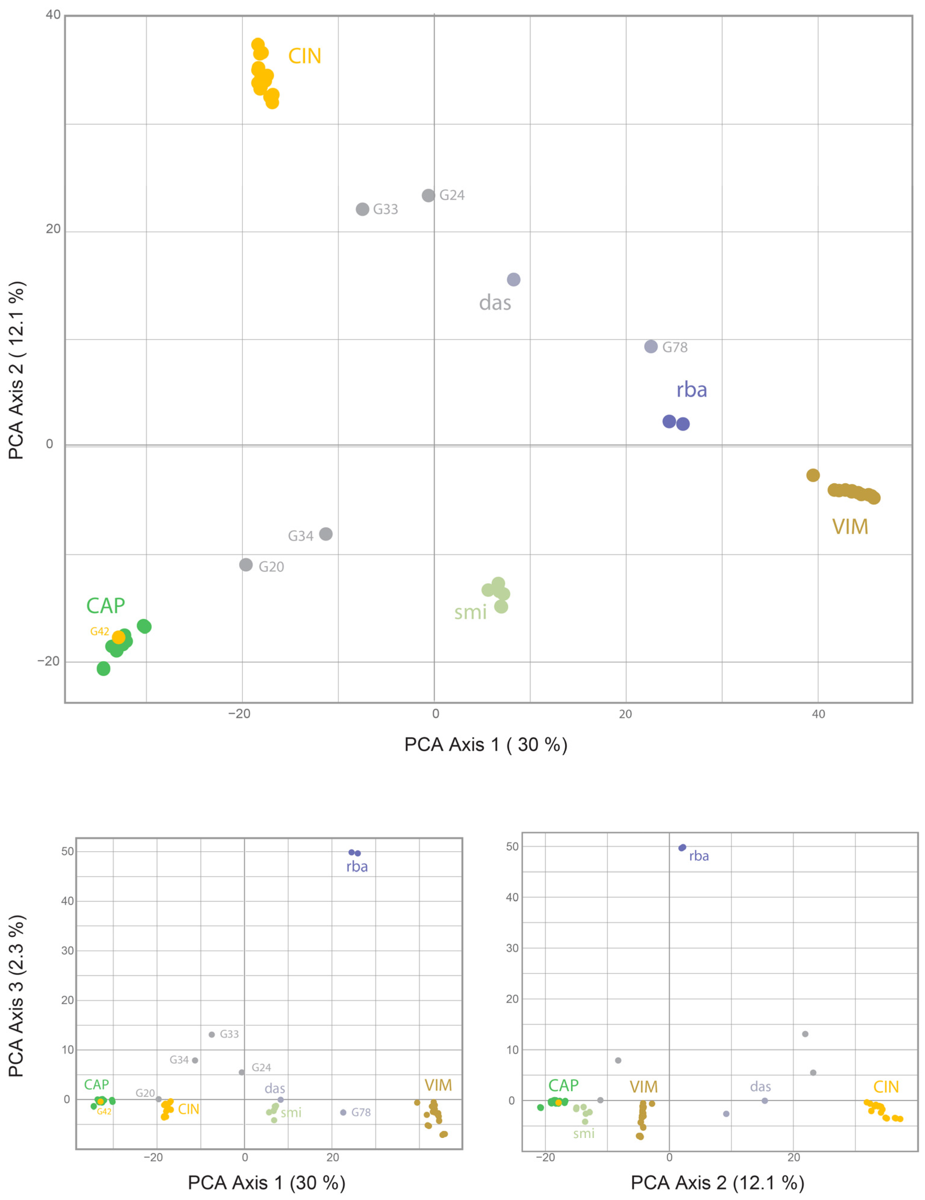 Plants 13 00639 g004