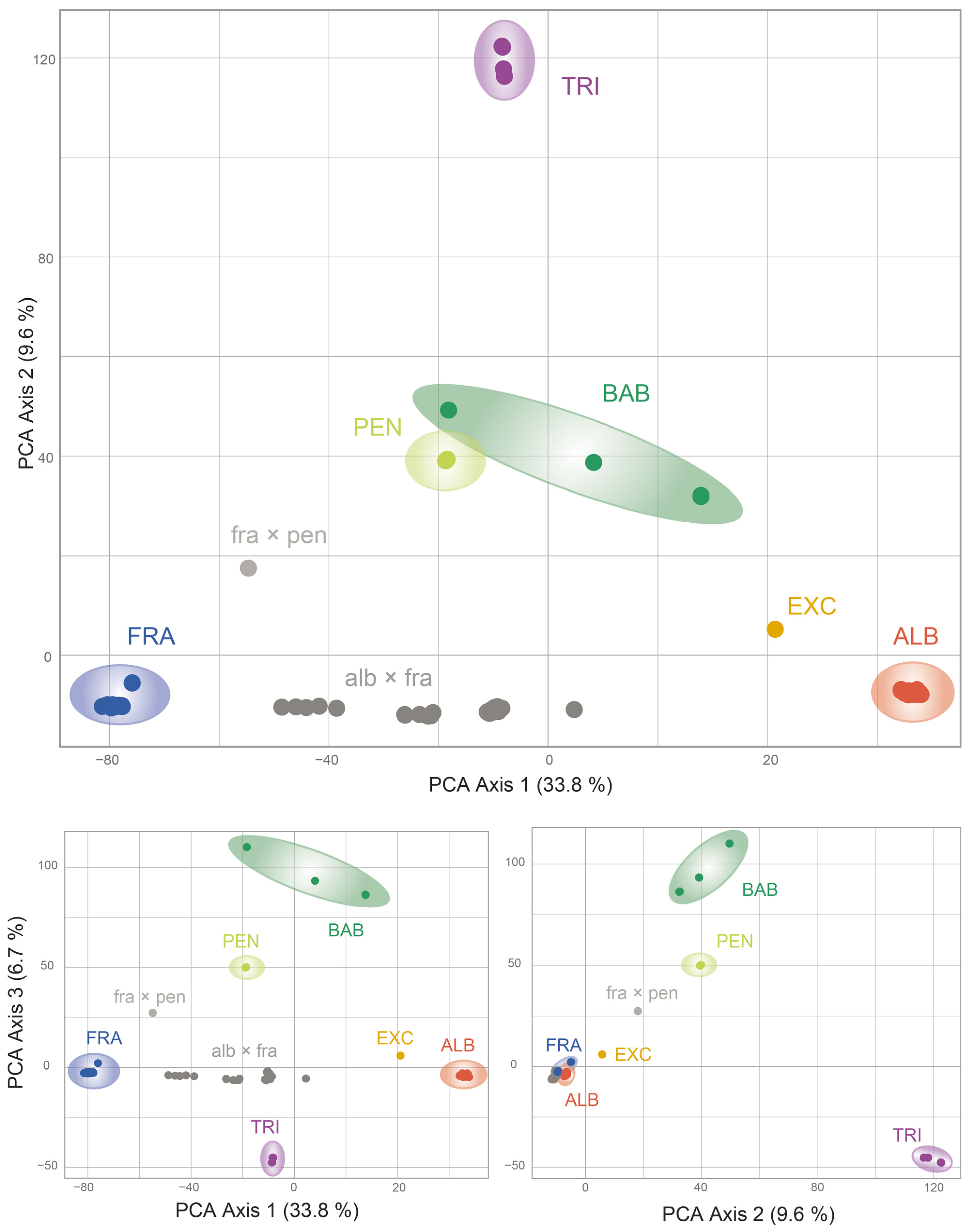 Plants 13 00639 g006