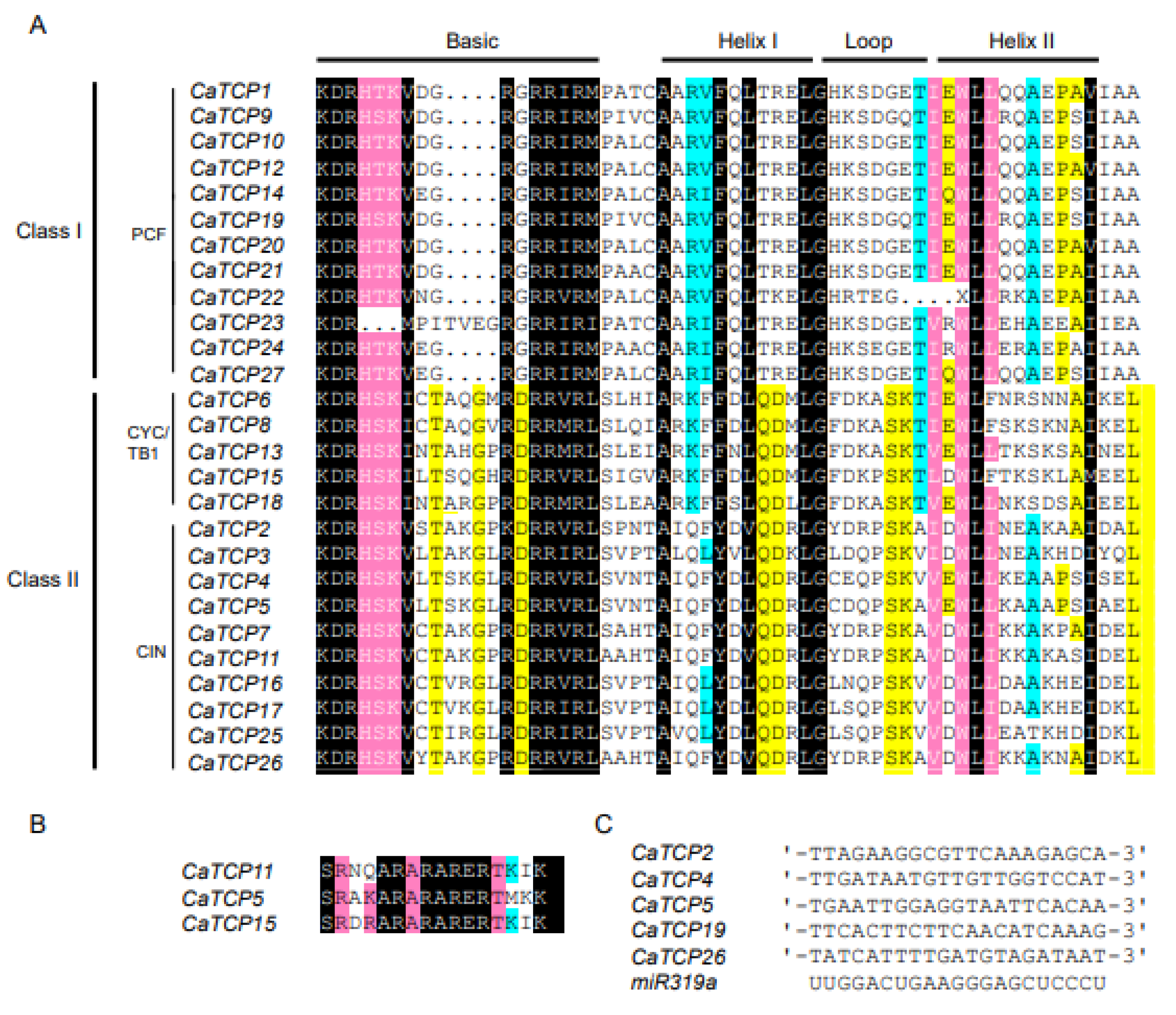 Plants 13 00641 g002